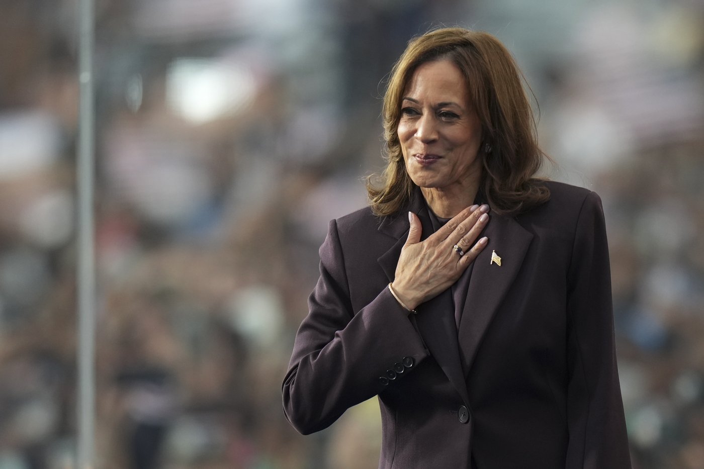 Democracy was a motivating factor for both Harris and Trump voters, but for very different reasons | iNFOnews.ca Democracy was a motivating factor for both Harris and Trump voters, but for very different reasons | iNFOnews.ca