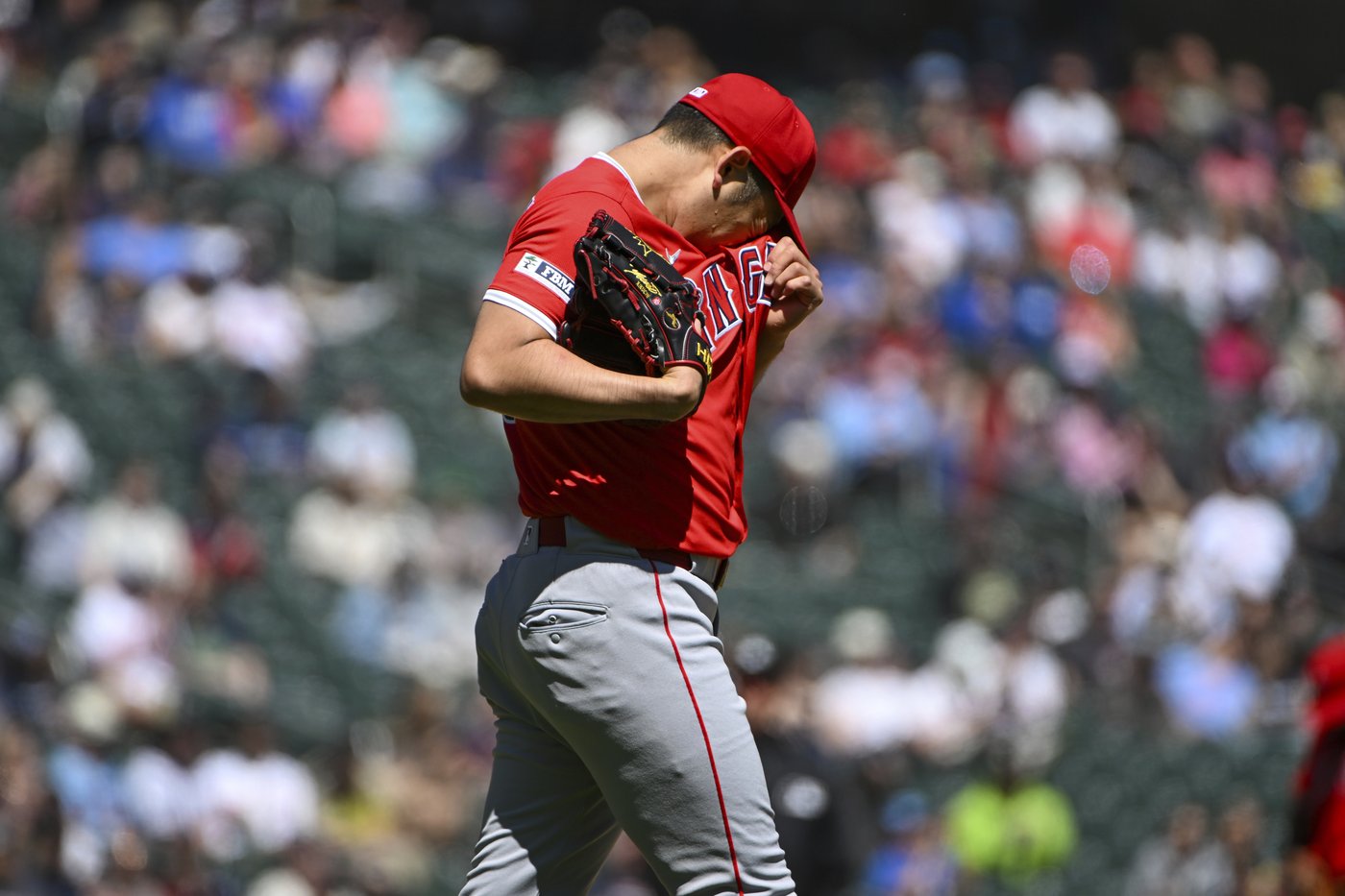 Twins match season high with 13 hits in 5-1 win over Angels | iNFOnews.ca