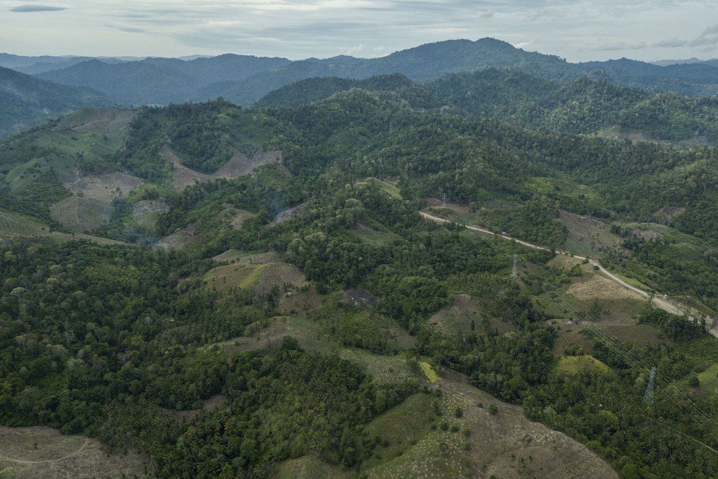 Slight progress in global biodiversity protection efforts but some species decline, new reports find | iNFOnews.ca