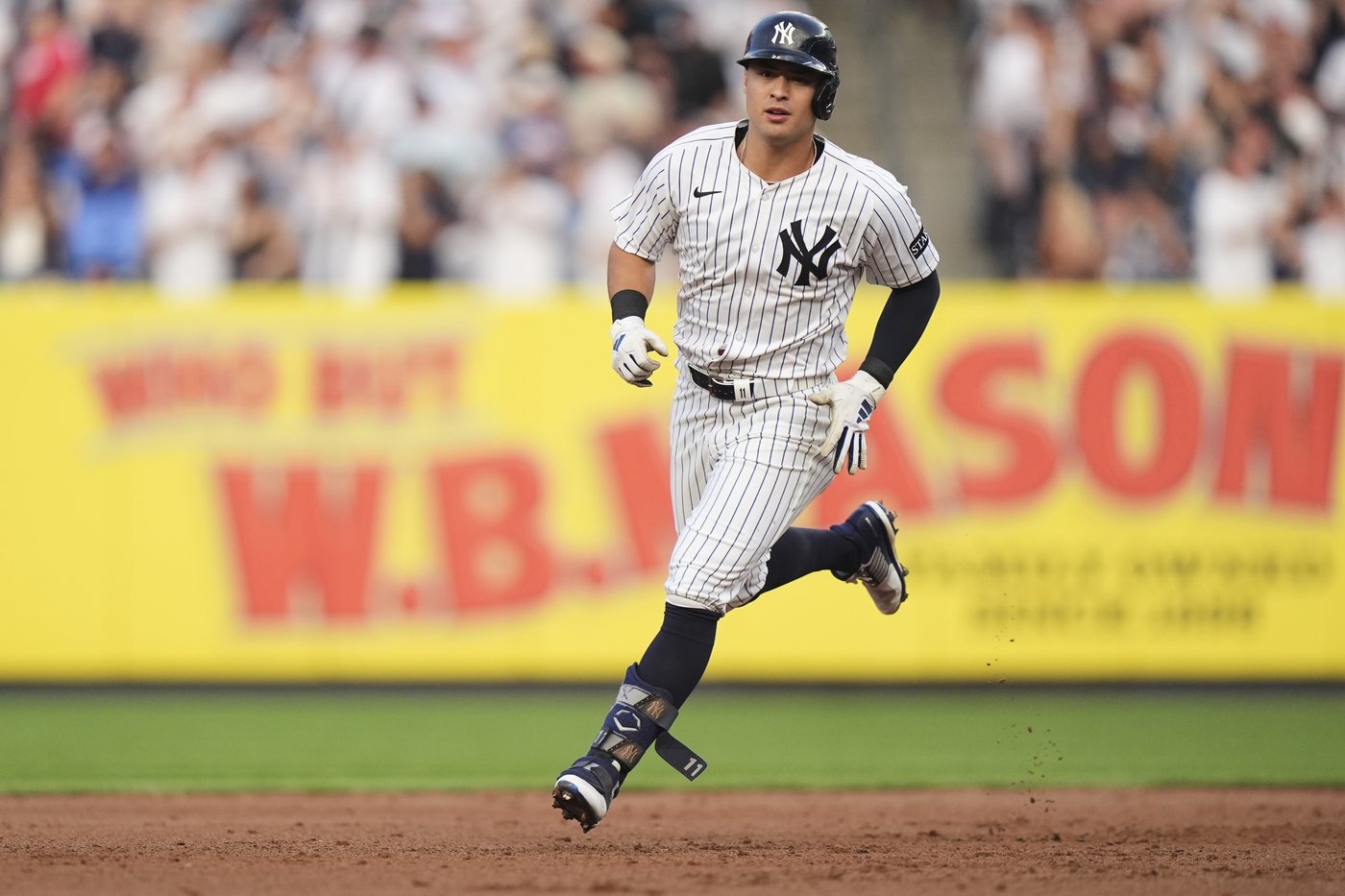 Yankees' Anthony Volpe stiff and sore when hit on elbow by pitch, but scans negative for break | iNFOnews.ca Yankees' Anthony Volpe stiff and sore when hit on elbow by pitch, but scans negative for break | iNFOnews.ca