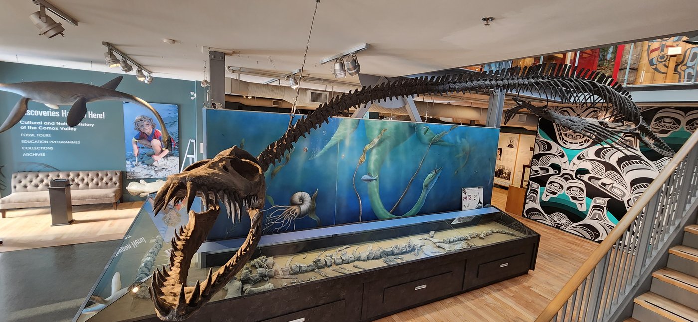 Fierce-looking B.C. fossil confirmed as new genus, days after death of discoverer | iNFOnews.ca