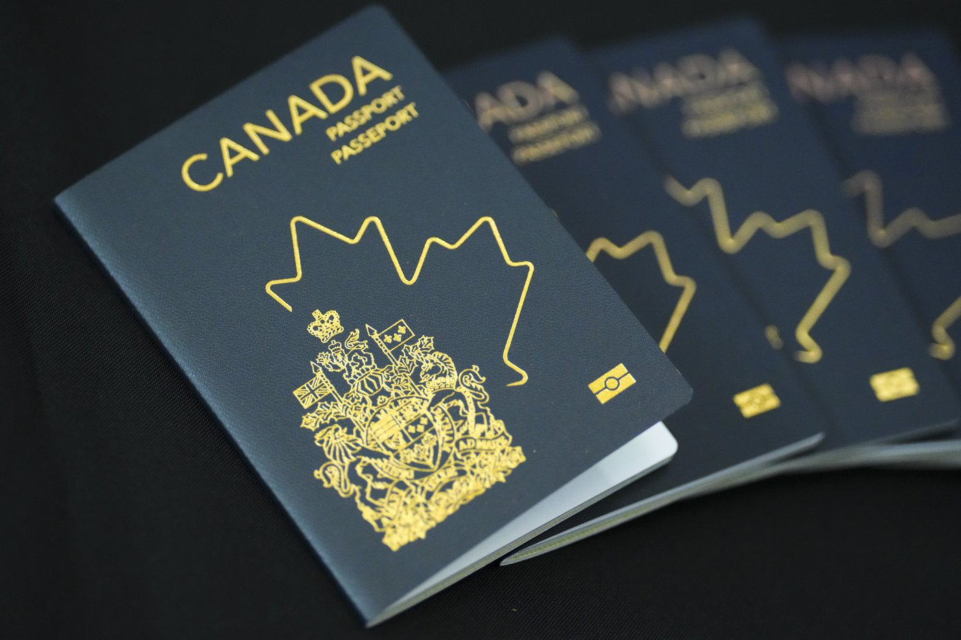 Immigration lawyers say rising number of CSIS security screenings causing delays | iNFOnews.ca