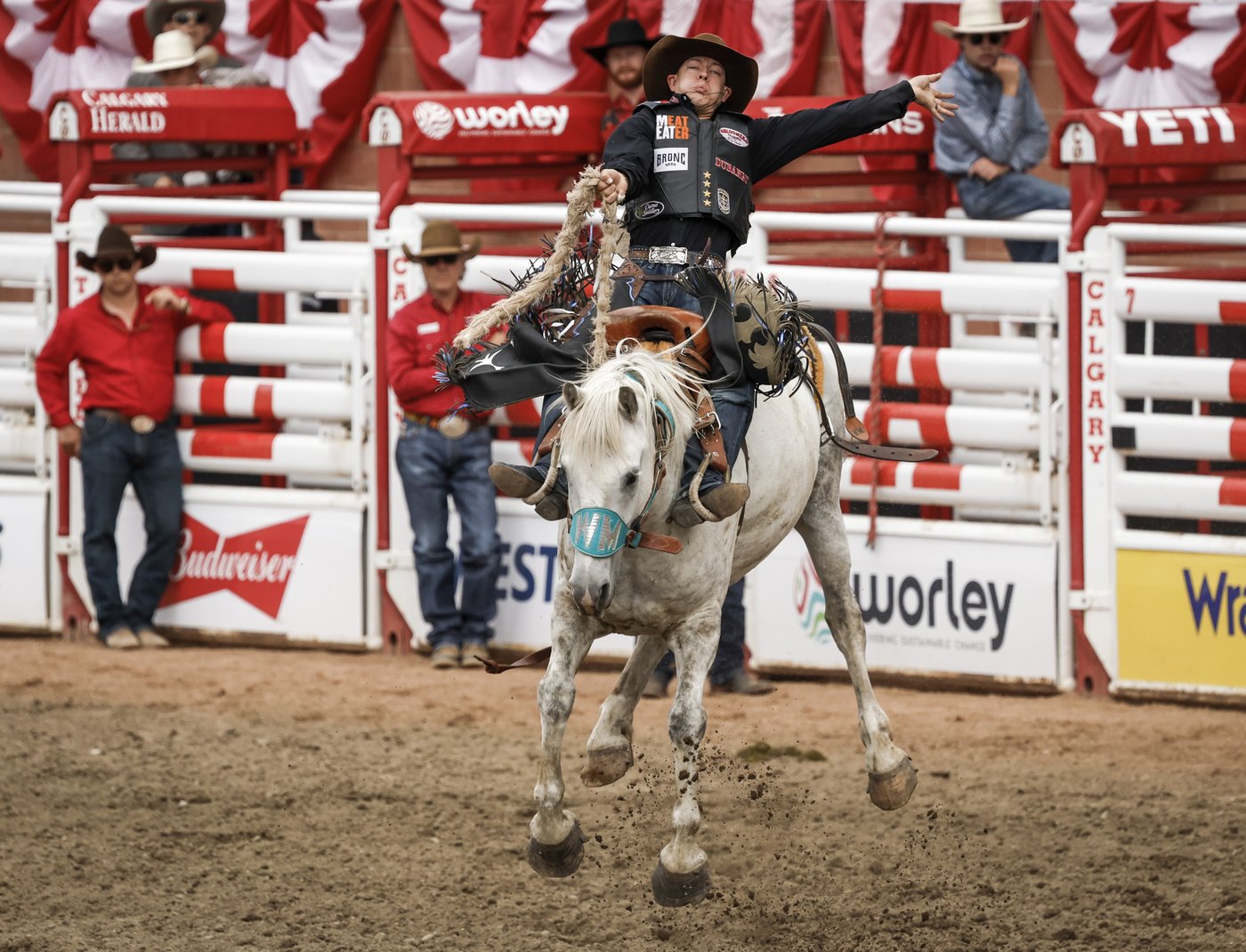 Rodeo winners' circle filled with Albertans at Stampede | iNFOnews.ca Rodeo winners' circle filled with Albertans at Stampede | iNFOnews.ca