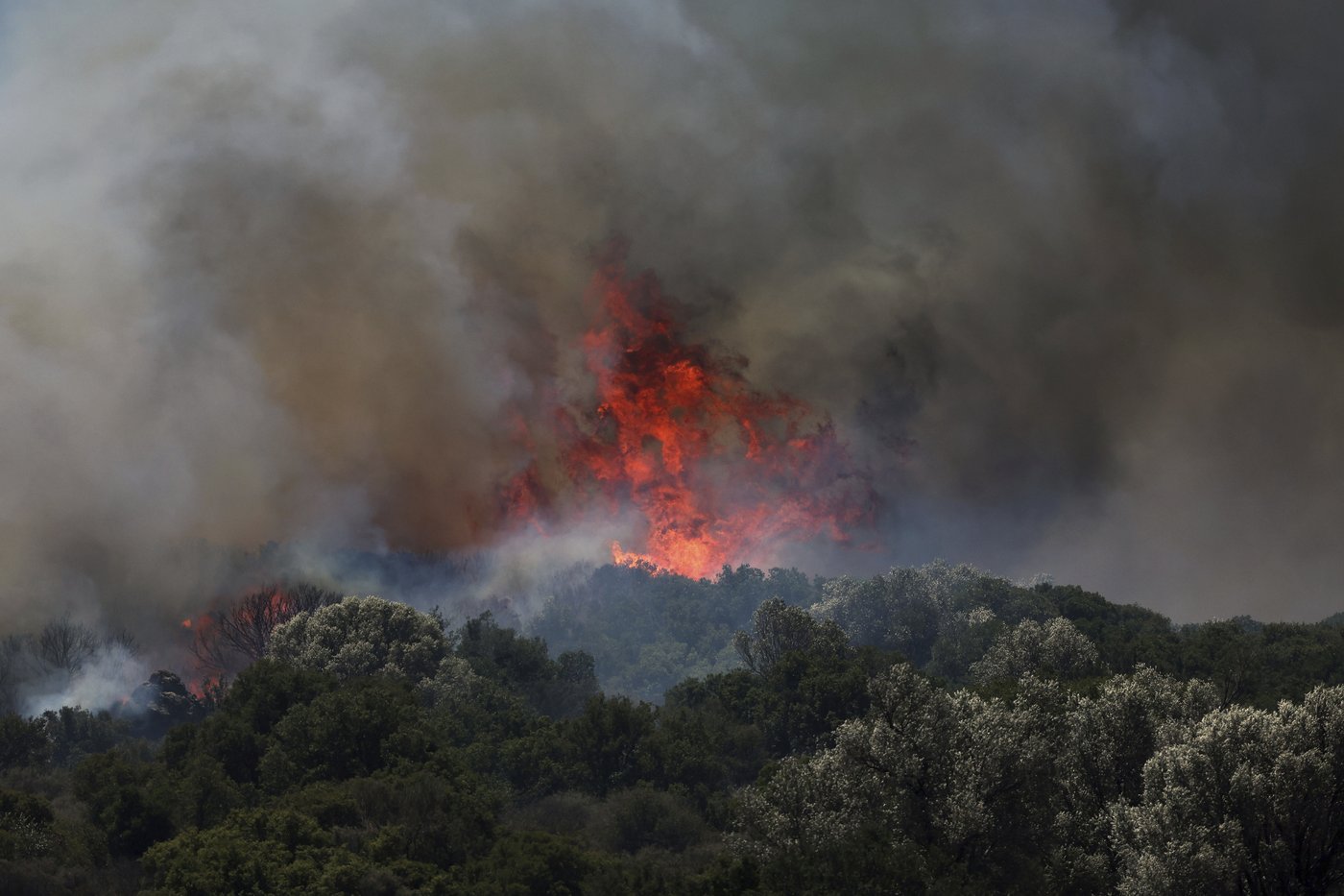 Elderly man dies as wildfires rage in Turkey, forcing evacuations and road closures | iNFOnews.ca Elderly man dies as wildfires rage in Turkey, forcing evacuations and road closures | iNFOnews.ca