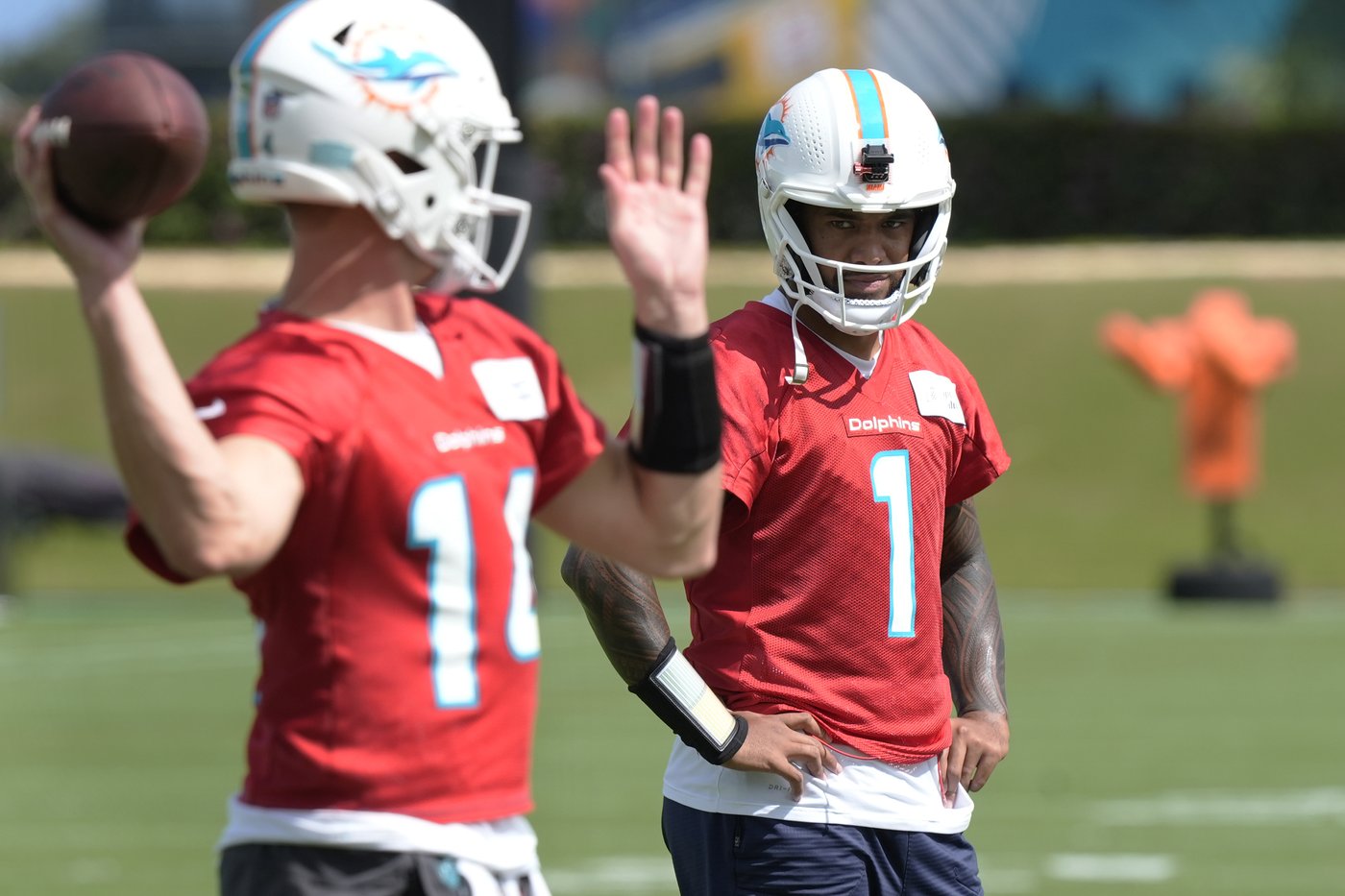 Dolphins QB Tua Tagovailoa clears concussion protocol and will start vs. Cardinals | iNFOnews.ca Dolphins QB Tua Tagovailoa clears concussion protocol and will start vs. Cardinals | iNFOnews.ca