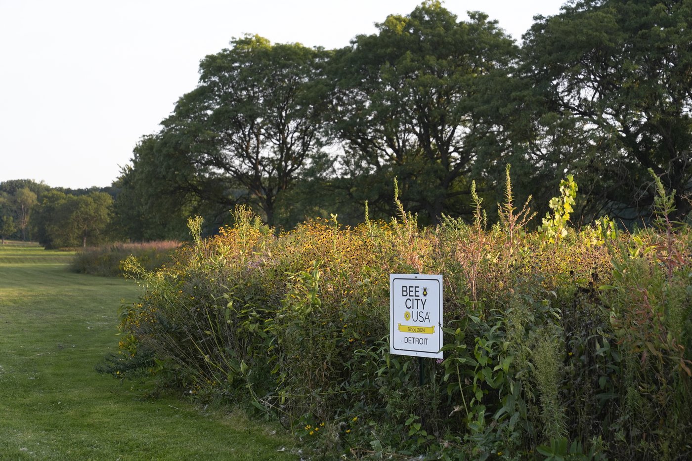 Urban communities that lack shade sizzle when it's hot. Trees are a climate change solution | iNFOnews.ca