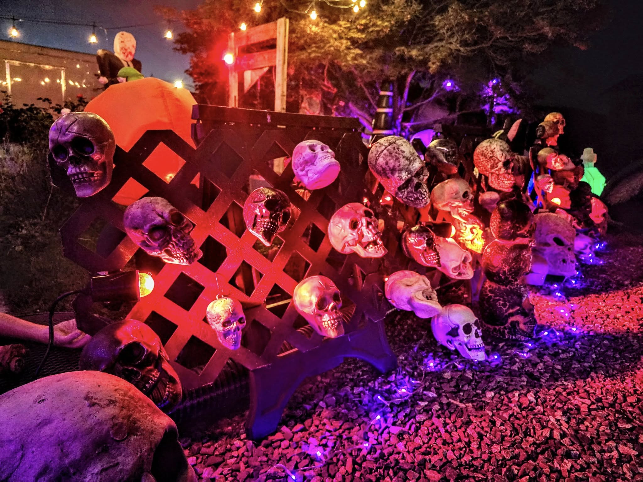 Awesome Halloween decorations lit up in Vernon | iNFOnews.ca A lattice outdoor fence covered with decorative Halloween skulls is lit up with a glowing orange light.