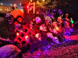 A lattice outdoor fence covered with decorative Halloween skulls is lit up with a glowing orange light.