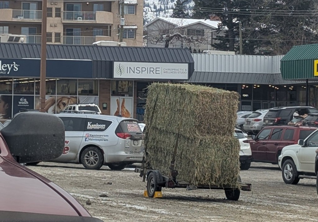 iN PHOTOS: Drivers making strange decisions in Kamloops, Okanagan | iNwheels