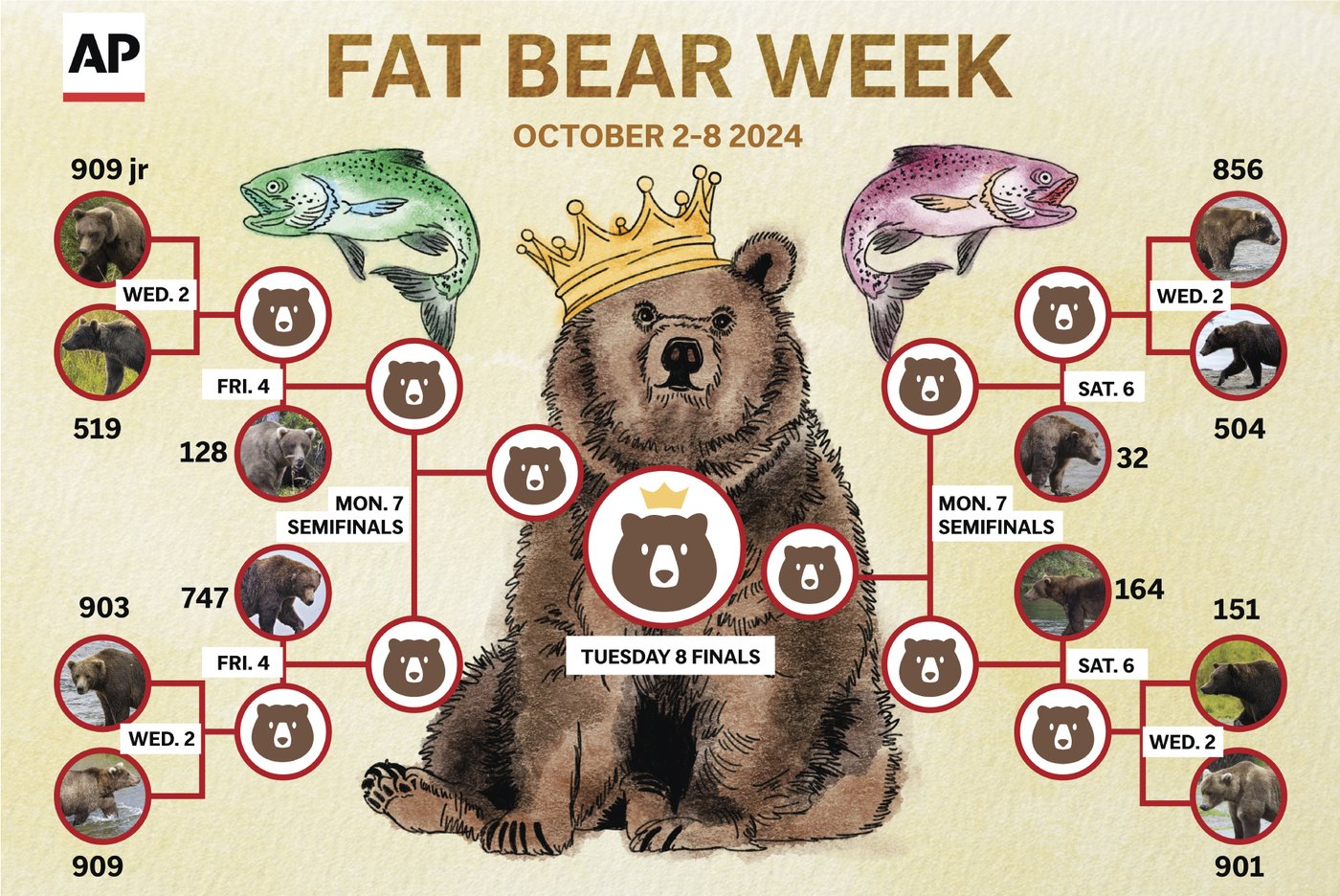 Online voting in Alaska's Fat Bear Week contest starts after an attack killed 1 contestant | iNFOnews.ca Online voting in Alaska's Fat Bear Week contest starts after an attack killed 1 contestant | iNFOnews.ca