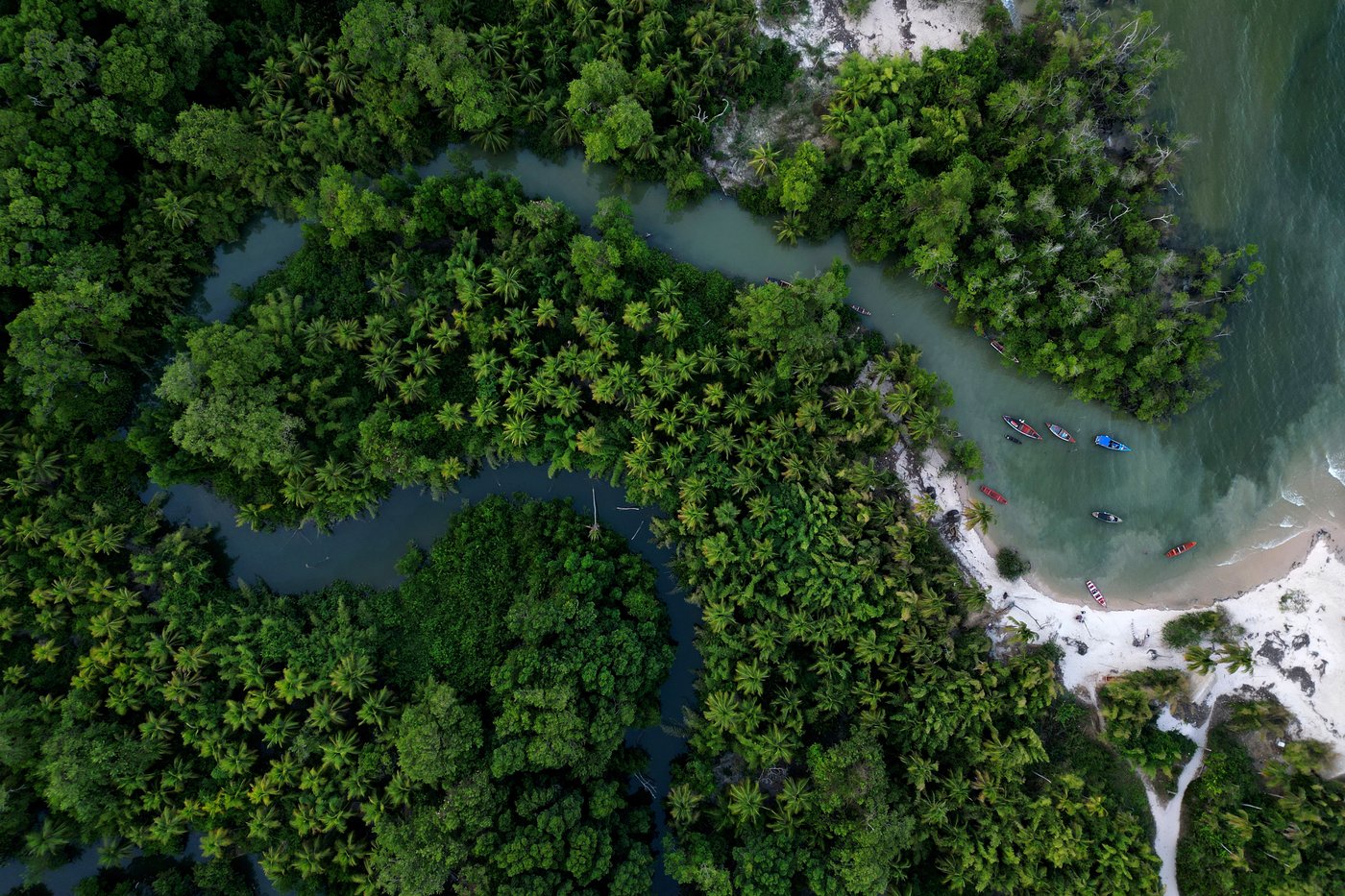 Brazil stumps up billions of dollars for its ambitious rainforest fund at UN climate summit | iNFOnews.ca Brazil stumps up billions of dollars for its ambitious rainforest fund at UN climate summit | iNFOnews.ca