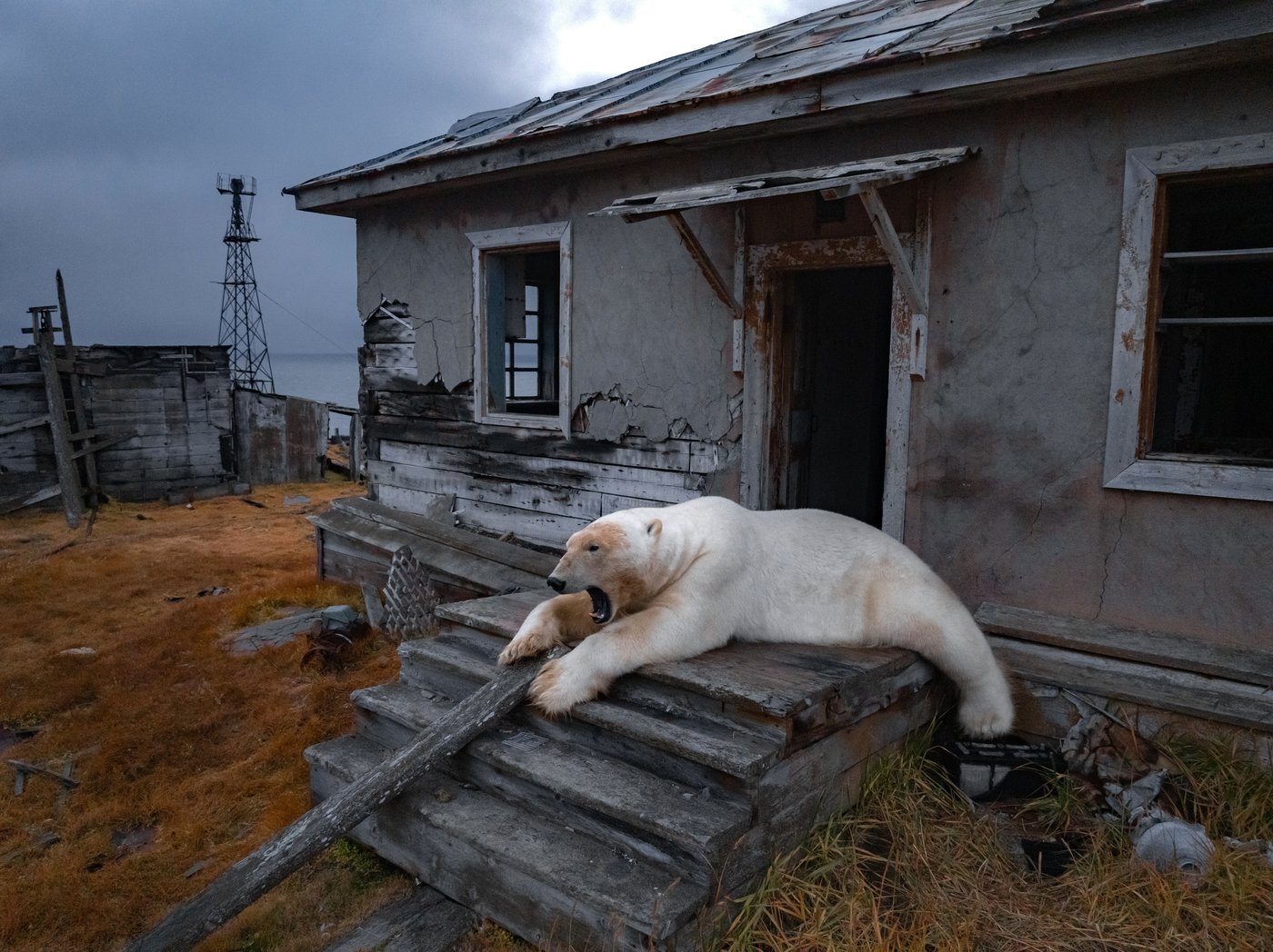 PHOTO COLLECTION: A look at AP's top photos in October | iNFOnews.ca PHOTO COLLECTION: A look at AP's top photos in October | iNFOnews.ca
