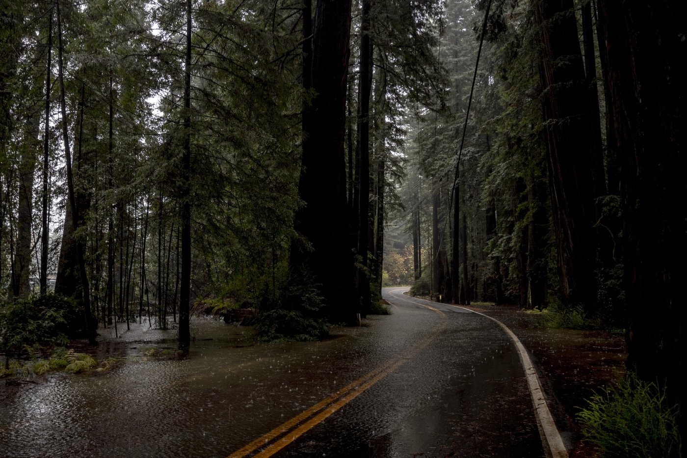 Northern California gets record rain and heavy snow. Many have been in the dark for days in Seattle | iNFOnews.ca Northern California gets record rain and heavy snow. Many have been in the dark for days in Seattle | iNFOnews.ca