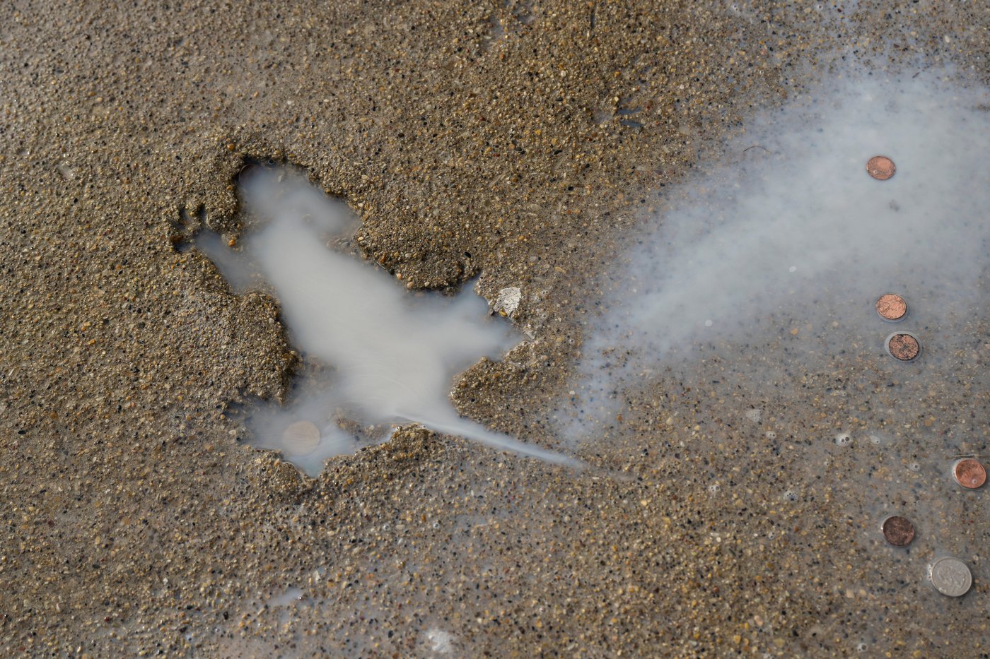 Ah, rats! Researchers say some other critter likely created Chicago's 'rat hole' sidewalk landmark | iNFOnews.ca