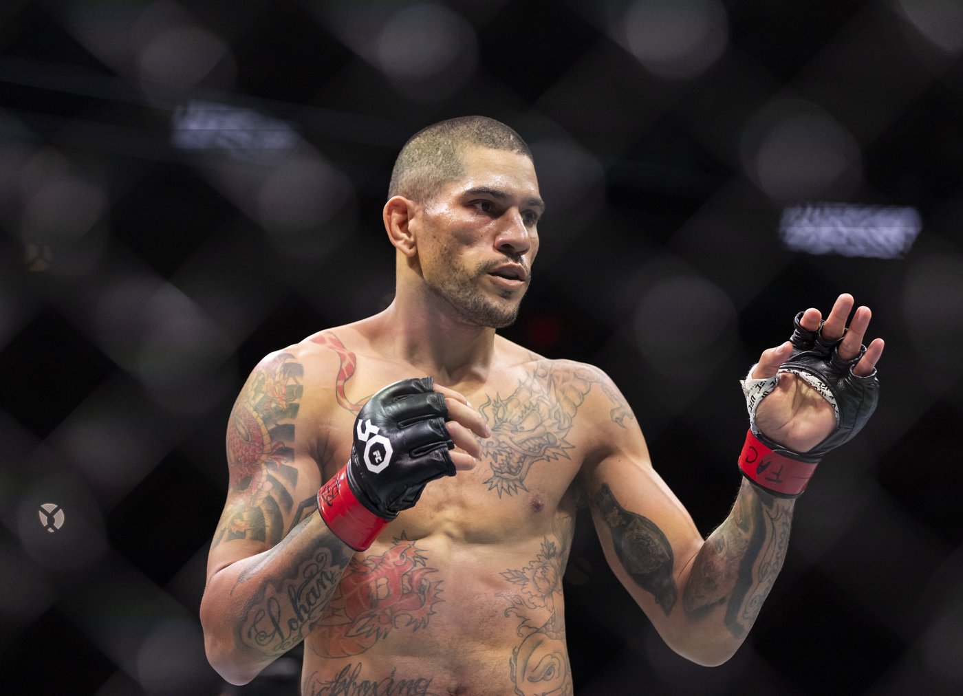 UFC President Dana White considering AI and Mark Zuckerberg to improve rankings system | iNFOnews.ca UFC President Dana White considering AI and Mark Zuckerberg to improve rankings system | iNFOnews.ca