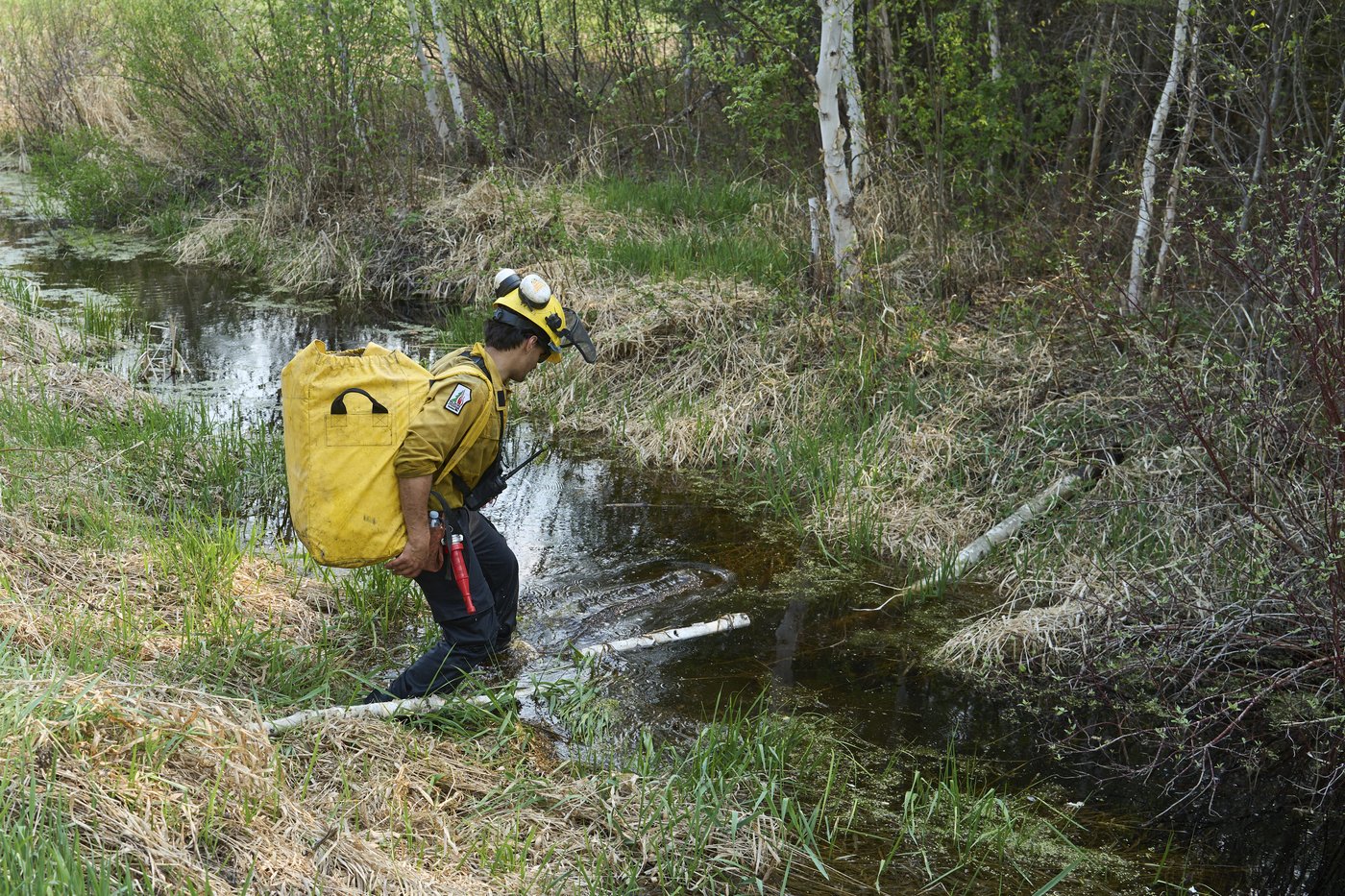 Rain offers some help for crews battling deadly wildfires in eastern Manitoba | iNFOnews.ca Rain offers some help for crews battling deadly wildfires in eastern Manitoba | iNFOnews.ca