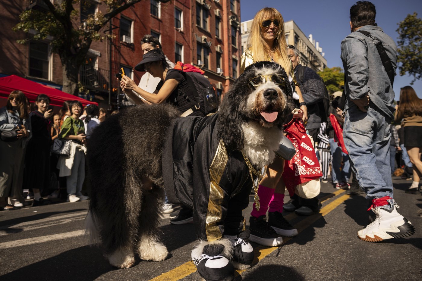 Pups on parade: Dogs dressed to the nines for annual New York City Halloween event | iNFOnews.ca