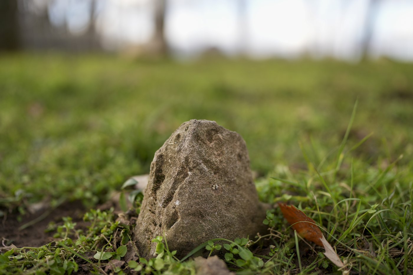 The burial site of the people Andrew Jackson enslaved was lost. The Hermitage says it is found | iNFOnews.ca The burial site of the people Andrew Jackson enslaved was lost. The Hermitage says it is found | iNFOnews.ca