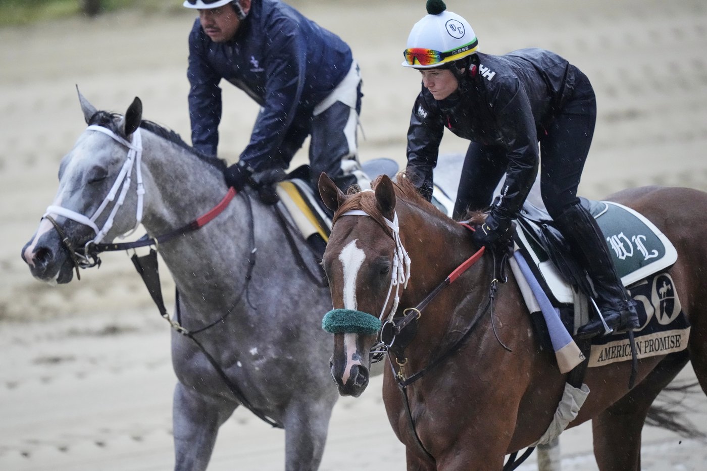 Lukas looks to 'turn the page' on American Promise in the Preakness after a troubled Derby trip | iNFOnews.ca Lukas looks to 'turn the page' on American Promise in the Preakness after a troubled Derby trip | iNFOnews.ca
