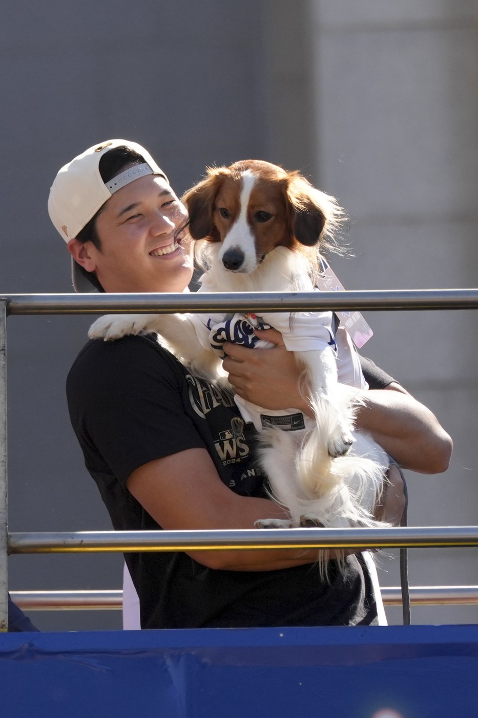 Meet Decoy Ohtani, perhaps the most valuable pet of the World Series | iNFOnews.ca
