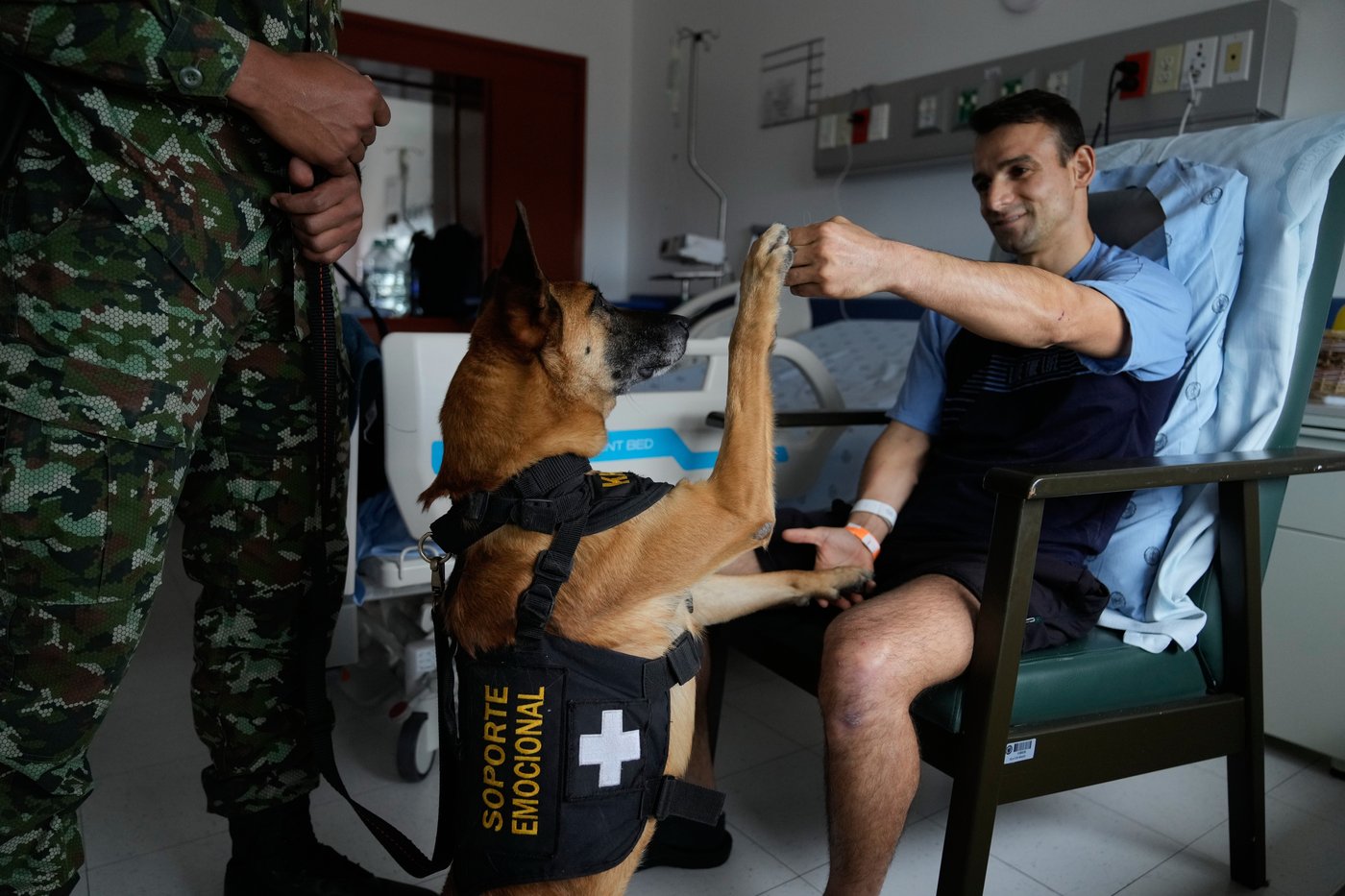 Colombian soldiers find solace in 'furry force' emotional support dogs | iNFOnews.ca Colombian soldiers find solace in 'furry force' emotional support dogs | iNFOnews.ca