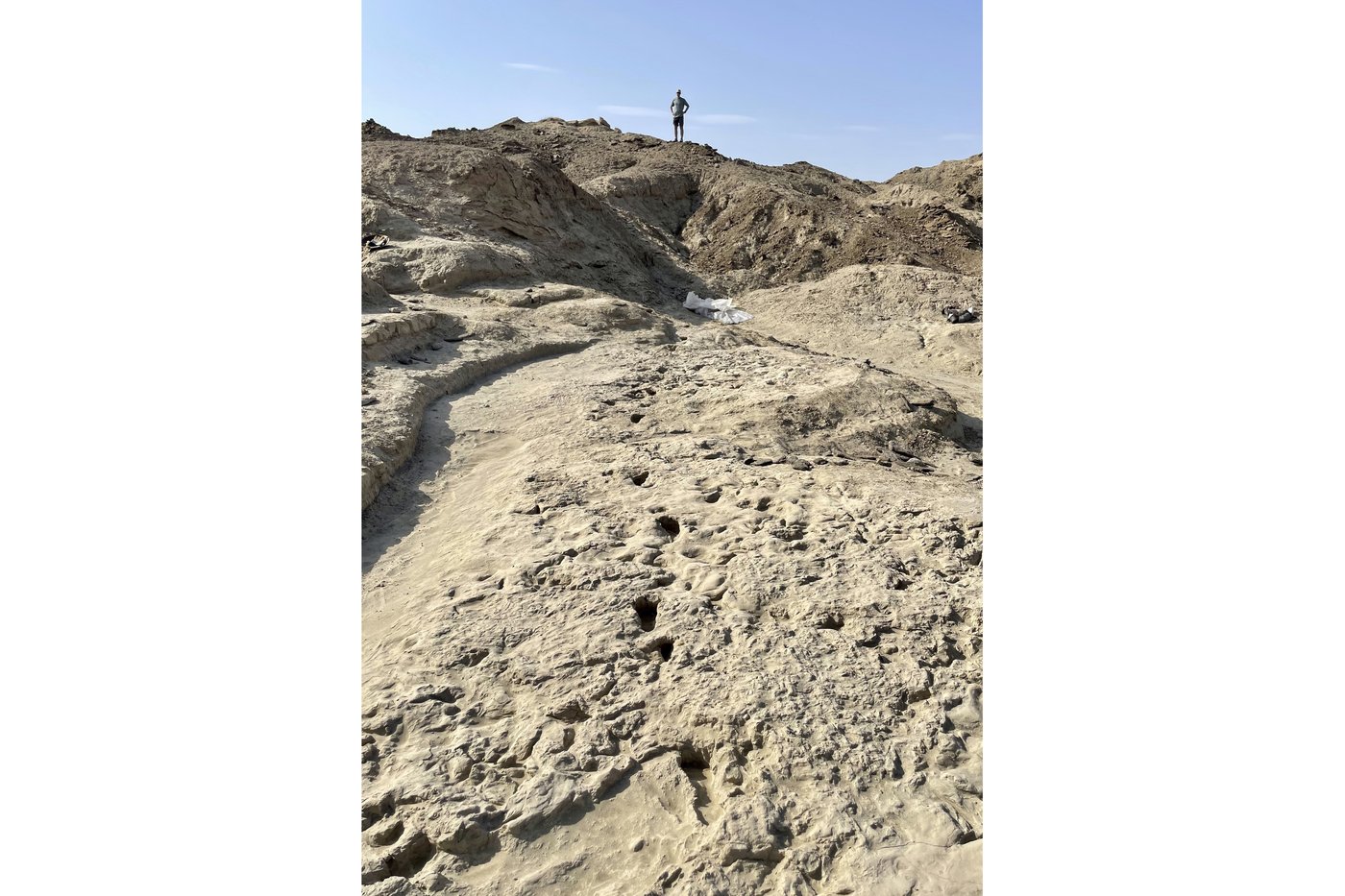 Muddy footprints suggest 2 species of early humans were neighbors in Kenya 1.5 million years ago | iNFOnews.ca