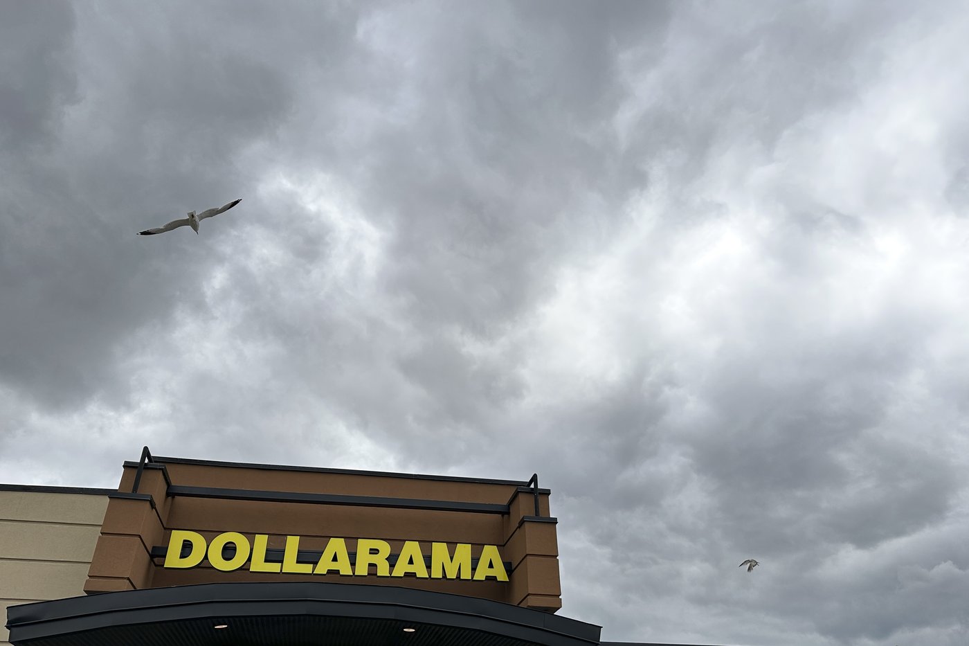 Quebec court approves $2.5M settlement in Dollarama eco fees class action | iNFOnews.ca