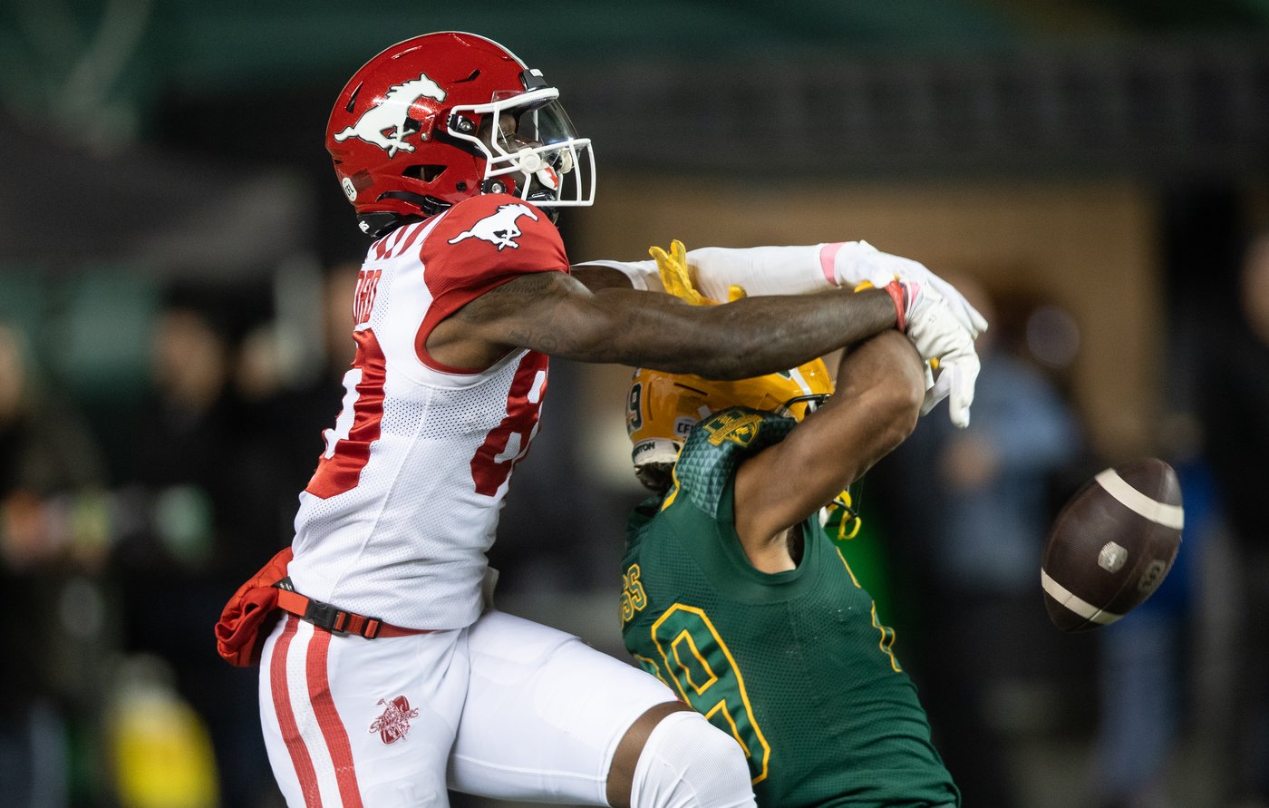 Stampeders beat Elks 20-10, move into second in the West | iNFOnews.ca