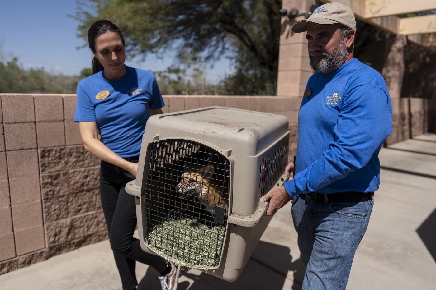 As fire raged nearby, a tiny town's zoo animals were driven to safety | iNFOnews.ca
