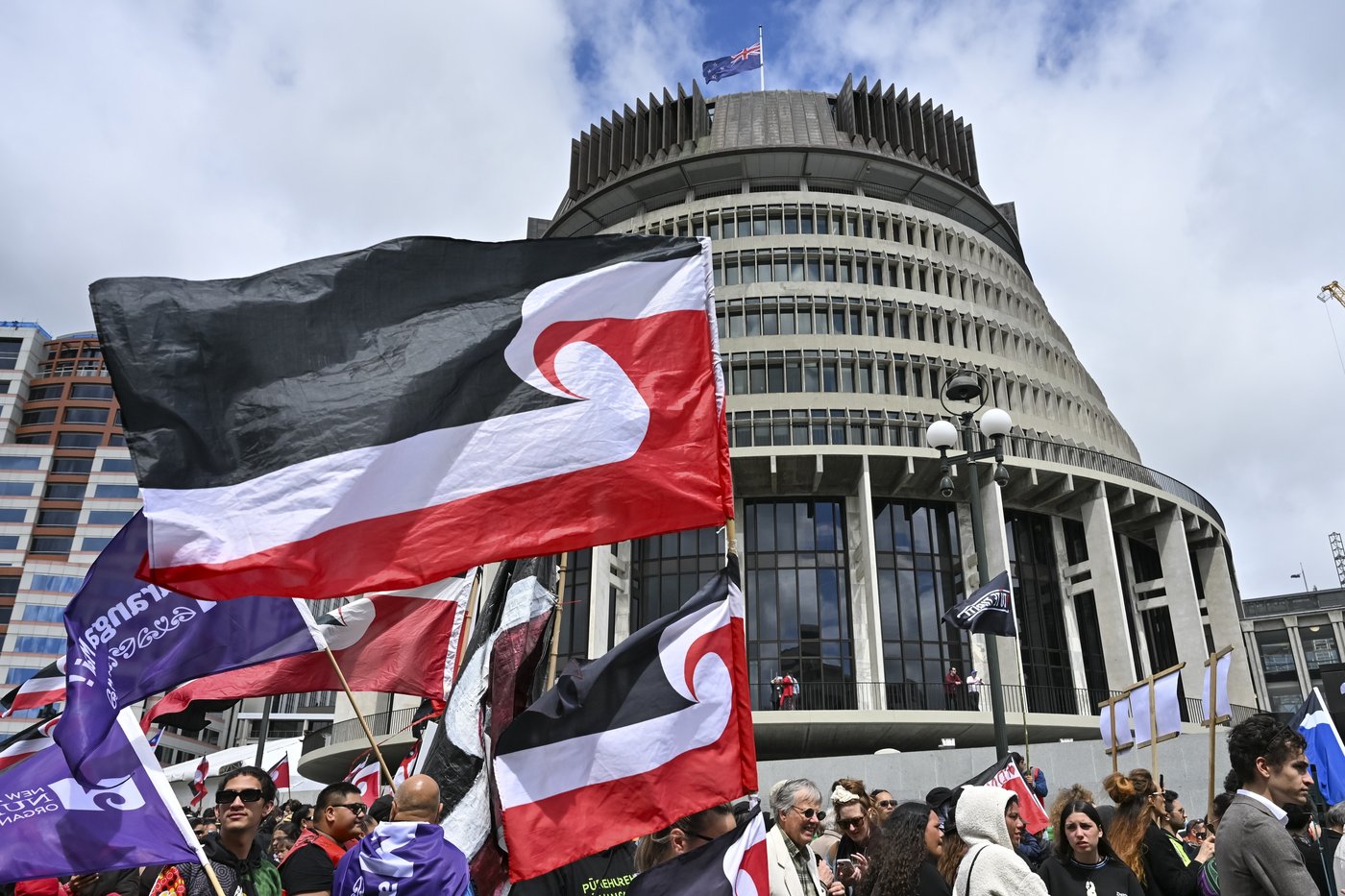 35,000 crowd New Zealand's Parliament grounds in support of Māori rights | iNFOnews.ca 35,000 crowd New Zealand's Parliament grounds in support of Māori rights | iNFOnews.ca