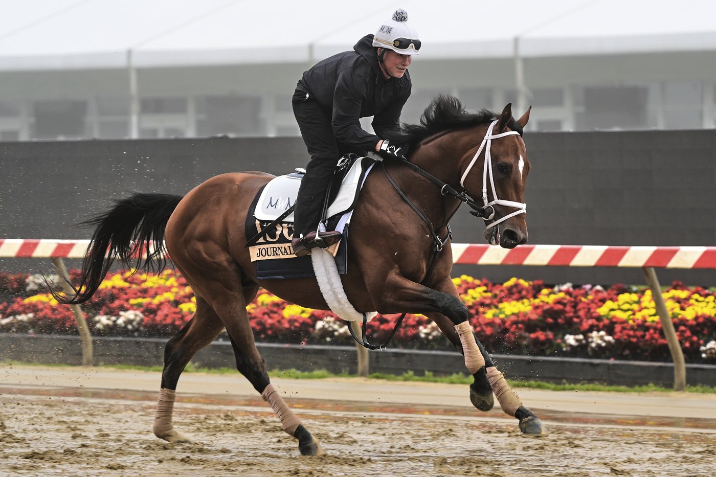 Journalism is the horse to beat in the Preakness. But recent trends show it won't be easy | iNFOnews.ca