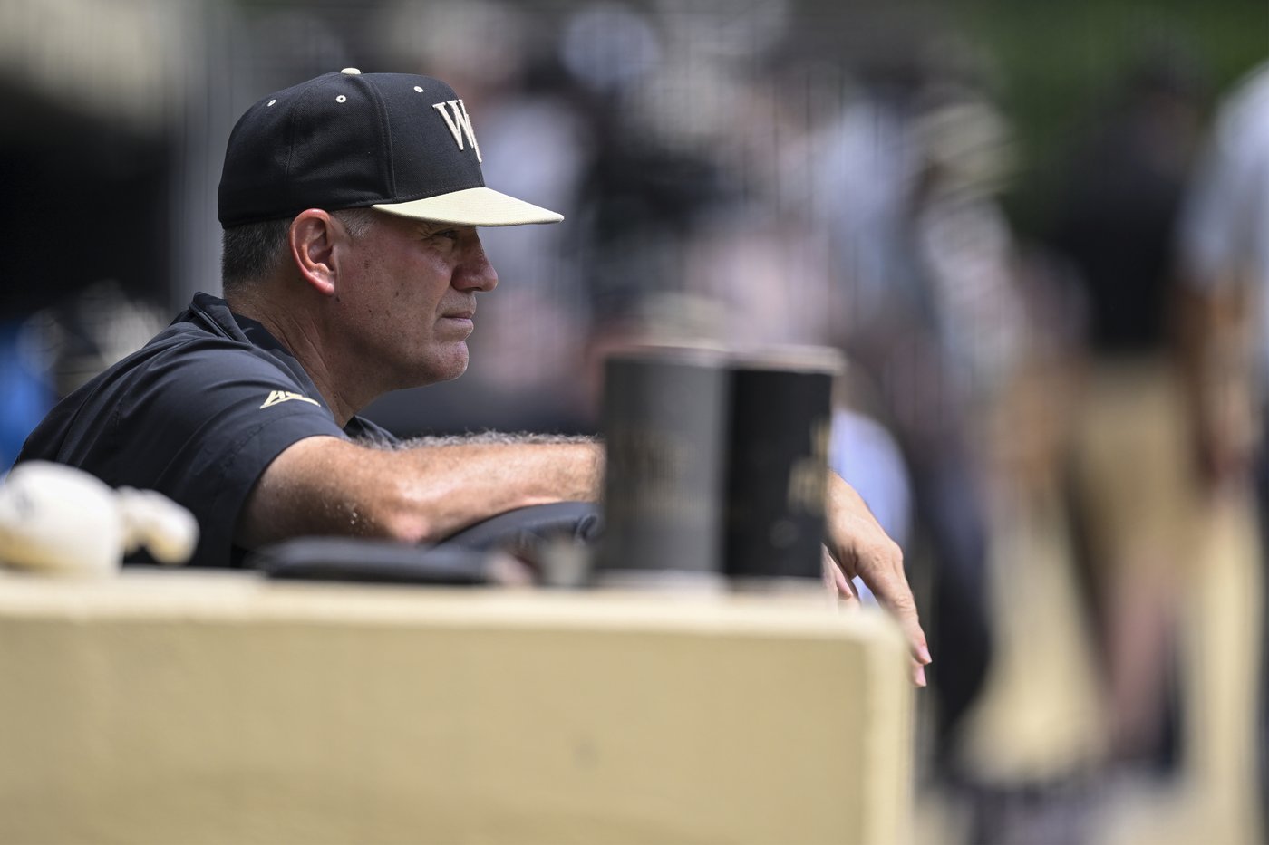 Wake Forest baseball coach apologizes for apparent homophobic slur at NCAA regional vs. Tennessee | iNFOnews.ca