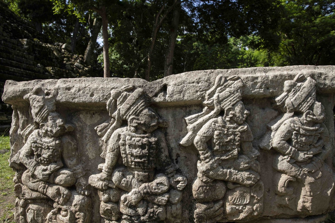 Archaeologists discover 4,000-year-old canals used to fish by predecessors of ancient Maya | iNFOnews.ca Archaeologists discover 4,000-year-old canals used to fish by predecessors of ancient Maya | iNFOnews.ca