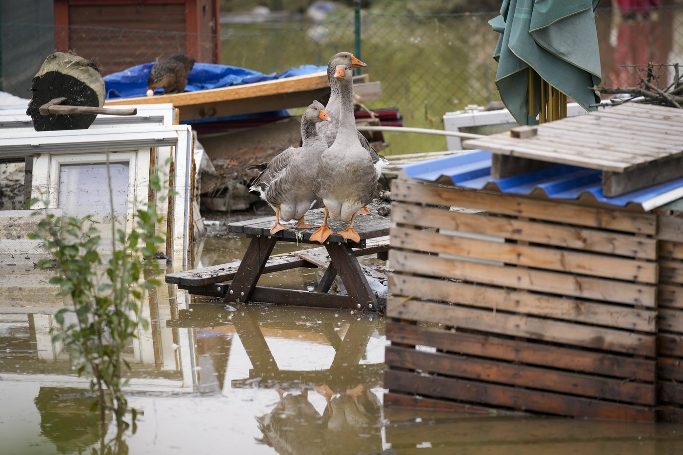 Rising rivers threaten southern Poland as flooding recedes elsewhere in Central Europe | iNFOnews.ca