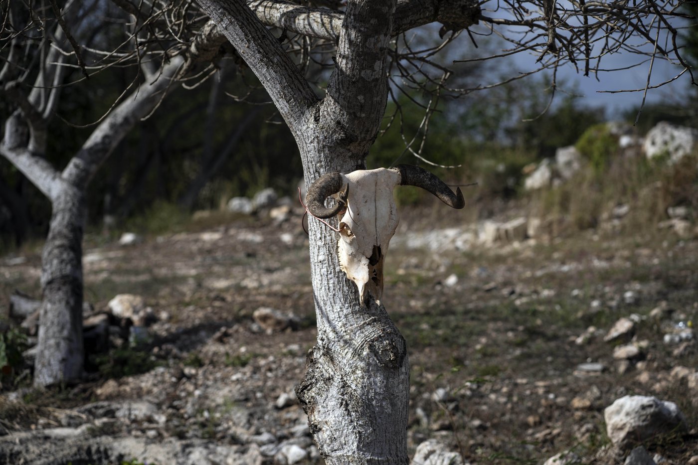 Indigenous Mayans want their sacred cenotes to have personhood status | iNFOnews.ca