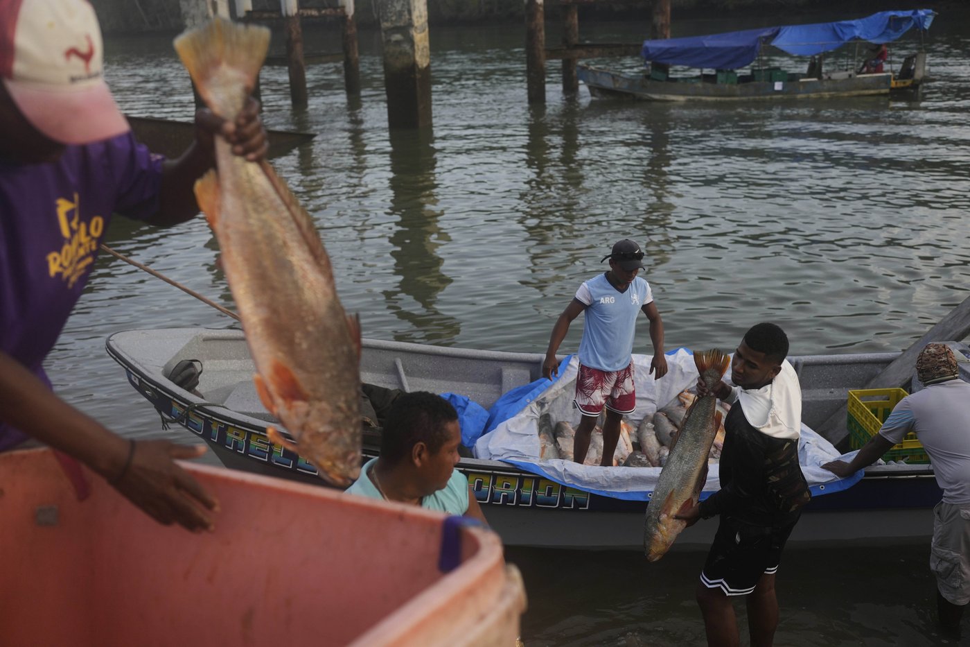 Few migrants remain in the Darien Gap, but an environmental crisis has been left behind | iNFOnews.ca