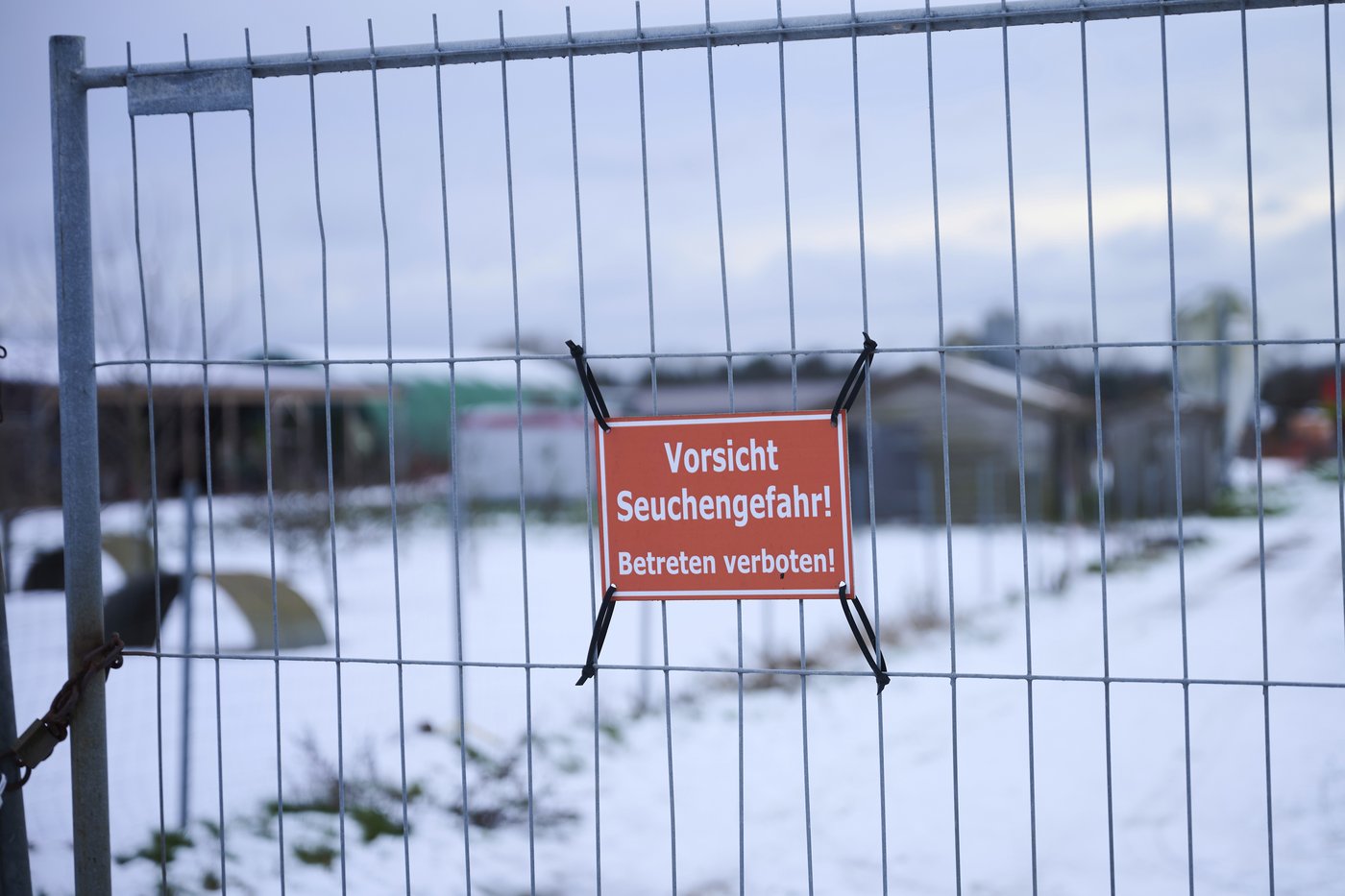 A German region lifts an animal transport ban imposed after foot-and-mouth disease was detected | iNFOnews.ca