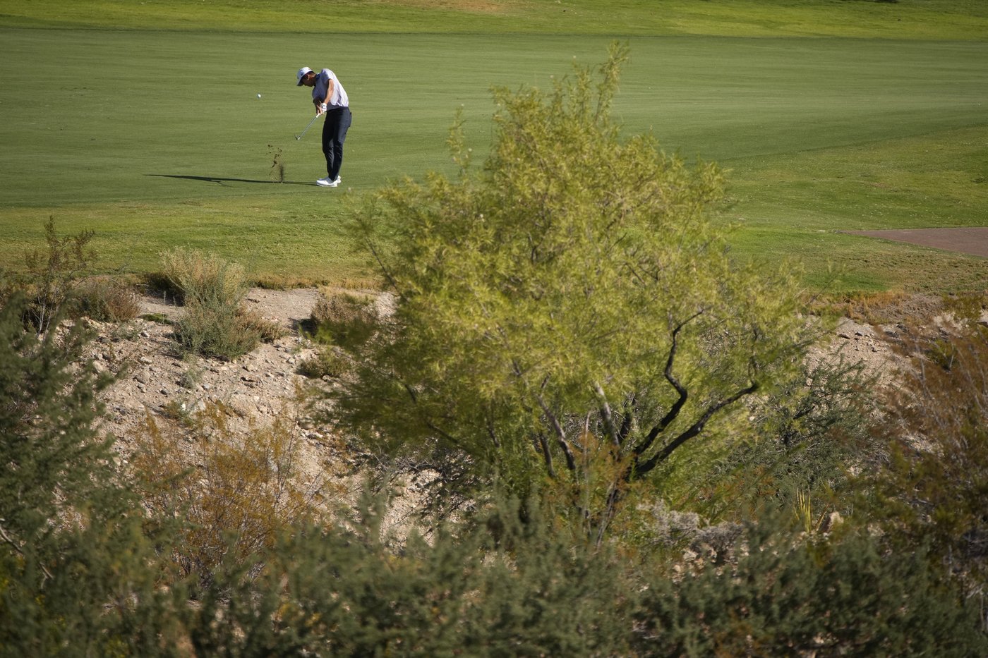 Taylor Pendrith shoots 61 in first start since the Presidents Cup and leads in Las Vegas | iNFOnews.ca Taylor Pendrith shoots 61 in first start since the Presidents Cup and leads in Las Vegas | iNFOnews.ca