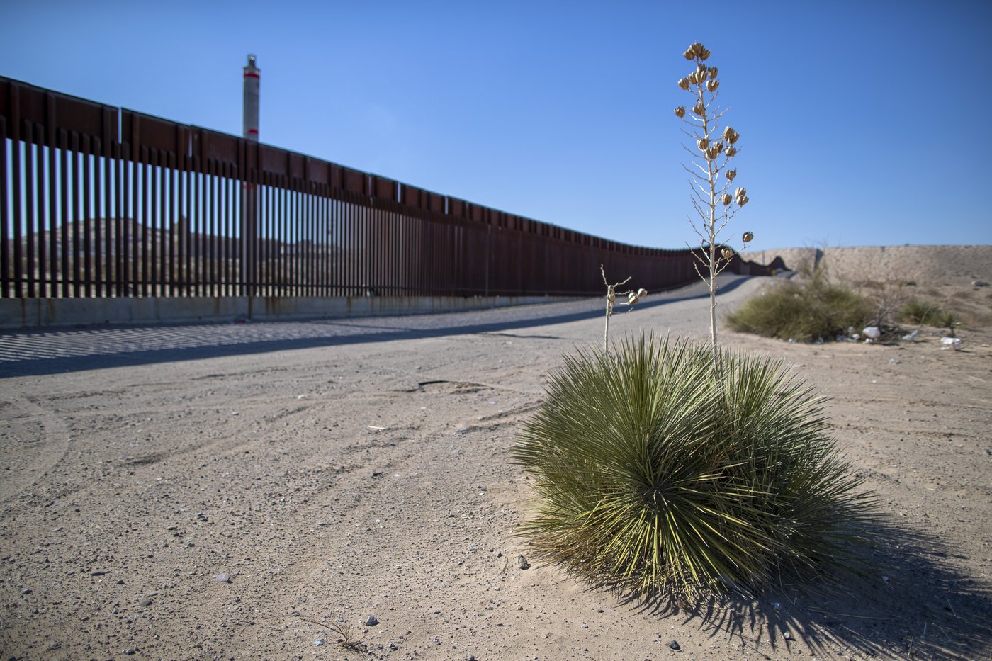 Border security is popular – but that may be the limit of US immigration consensus: AP-NORC poll | iNFOnews.ca