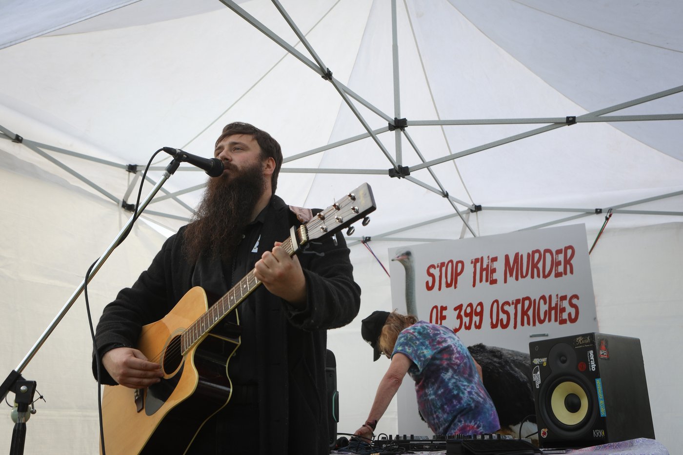 From flu outbreak to 'Ostrichfest' to high court, how B.C. ostrich cull saga unfolded | iNFOnews.ca From flu outbreak to 'Ostrichfest' to high court, how B.C. ostrich cull saga unfolded | iNFOnews.ca