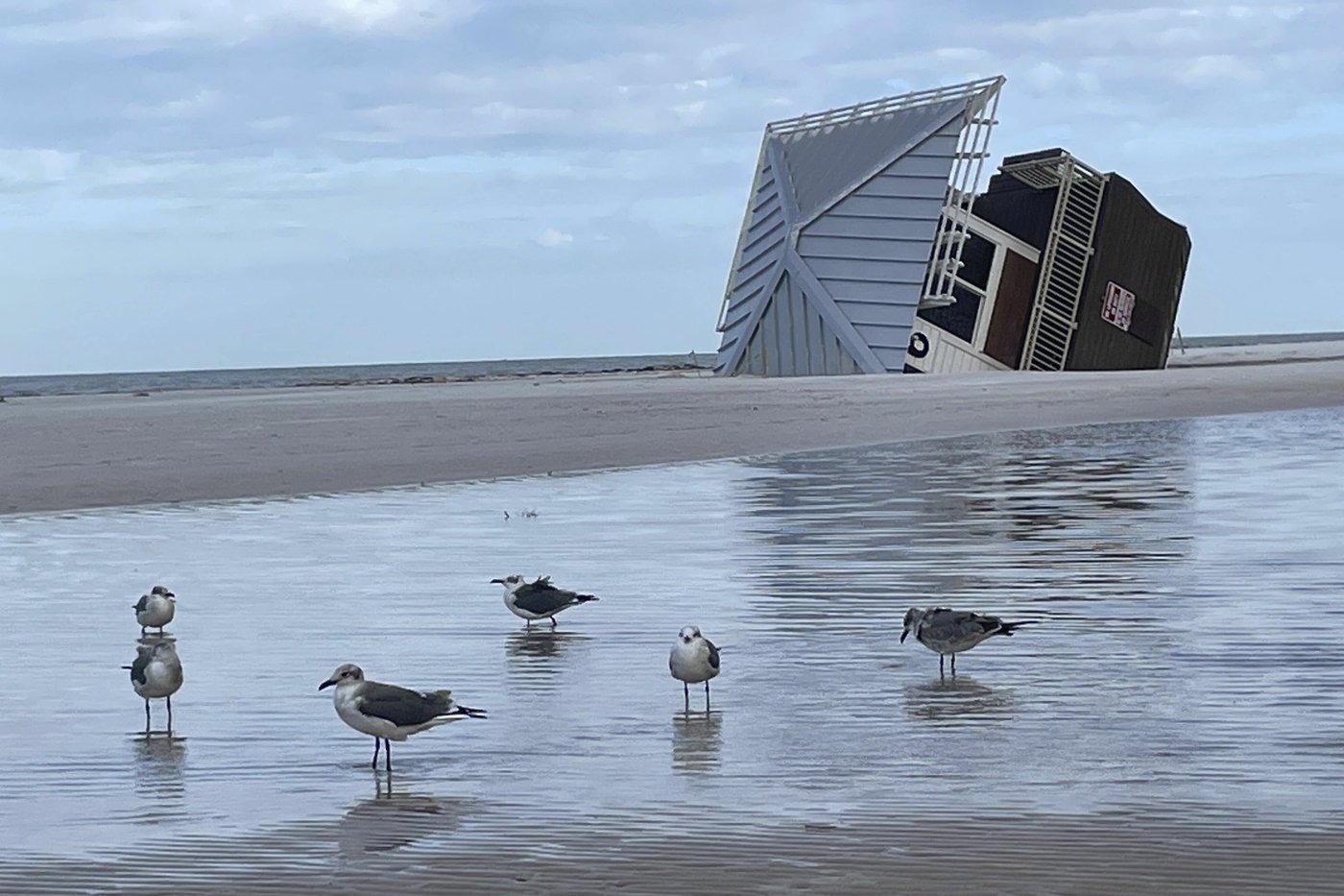 What to know as Florida residents begin cleaning up after Hurricane Milton | iNFOnews.ca What to know as Florida residents begin cleaning up after Hurricane Milton | iNFOnews.ca