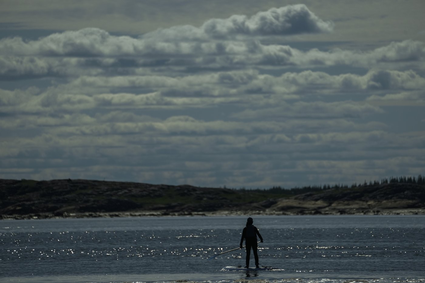 Offering a dose of healing, curious beluga whales frolic in a warming Hudson Bay | iNFOnews.ca