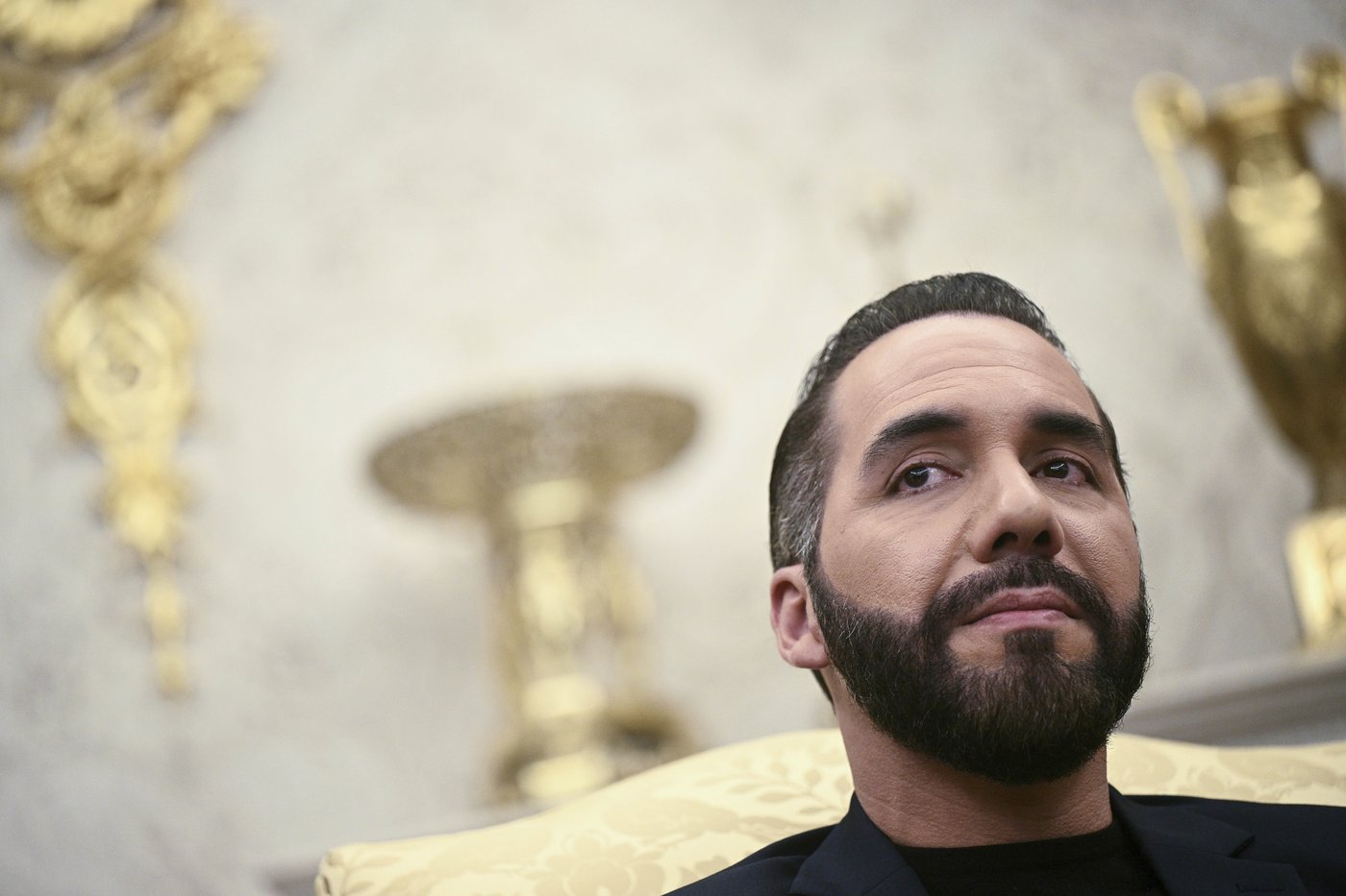 El Salvador president orders arrest of of bus company heads for defying free transport order | iNFOnews.ca