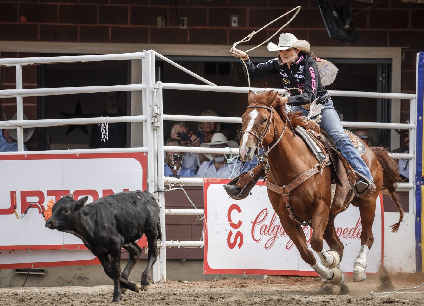 Rodeo winners' circle filled with Albertans at Stampede | iNFOnews.ca Rodeo winners' circle filled with Albertans at Stampede | iNFOnews.ca