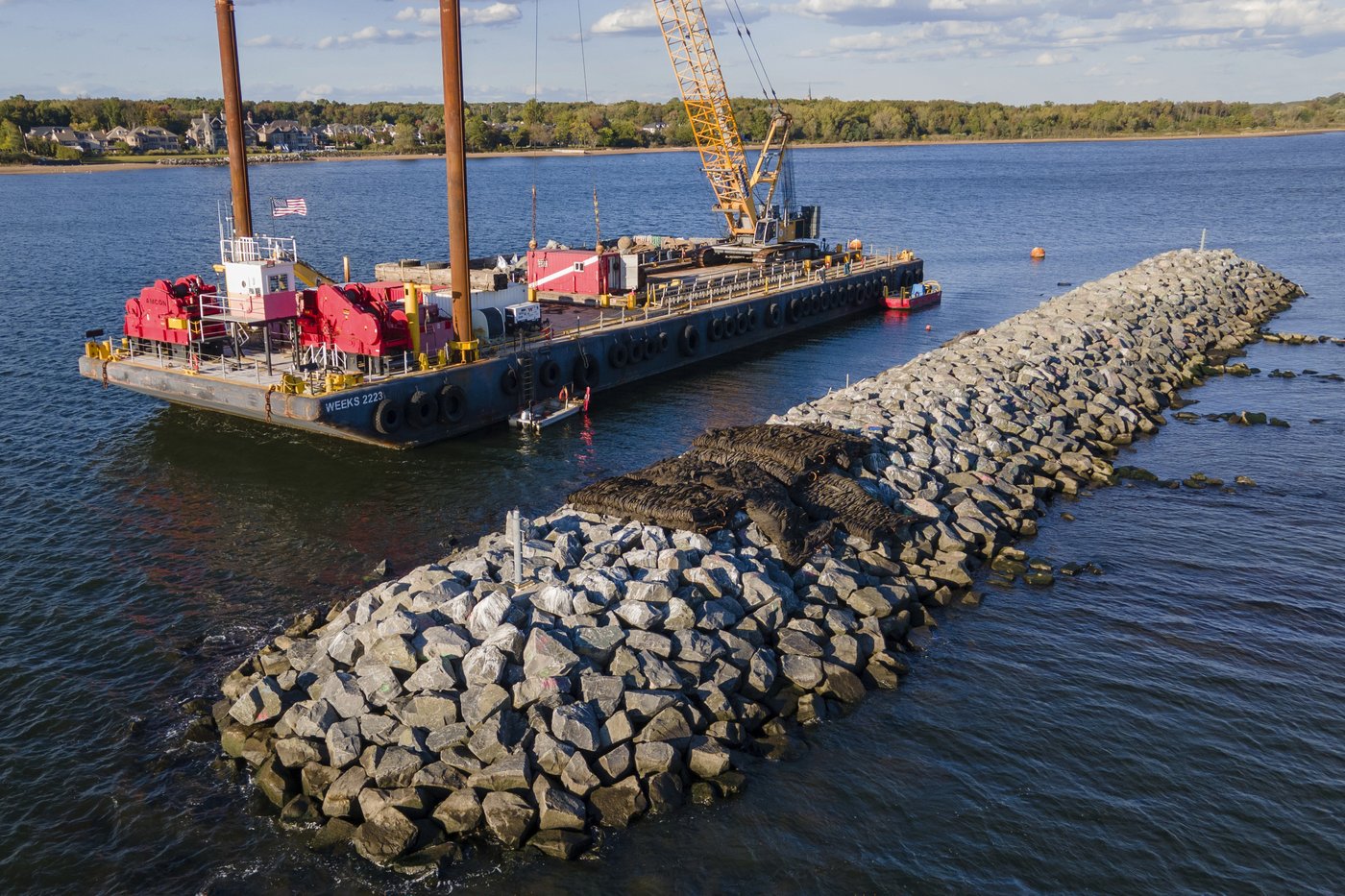 These artificial reefs off a New York City beach help sea creatures. They might also save lives | iNFOnews.ca