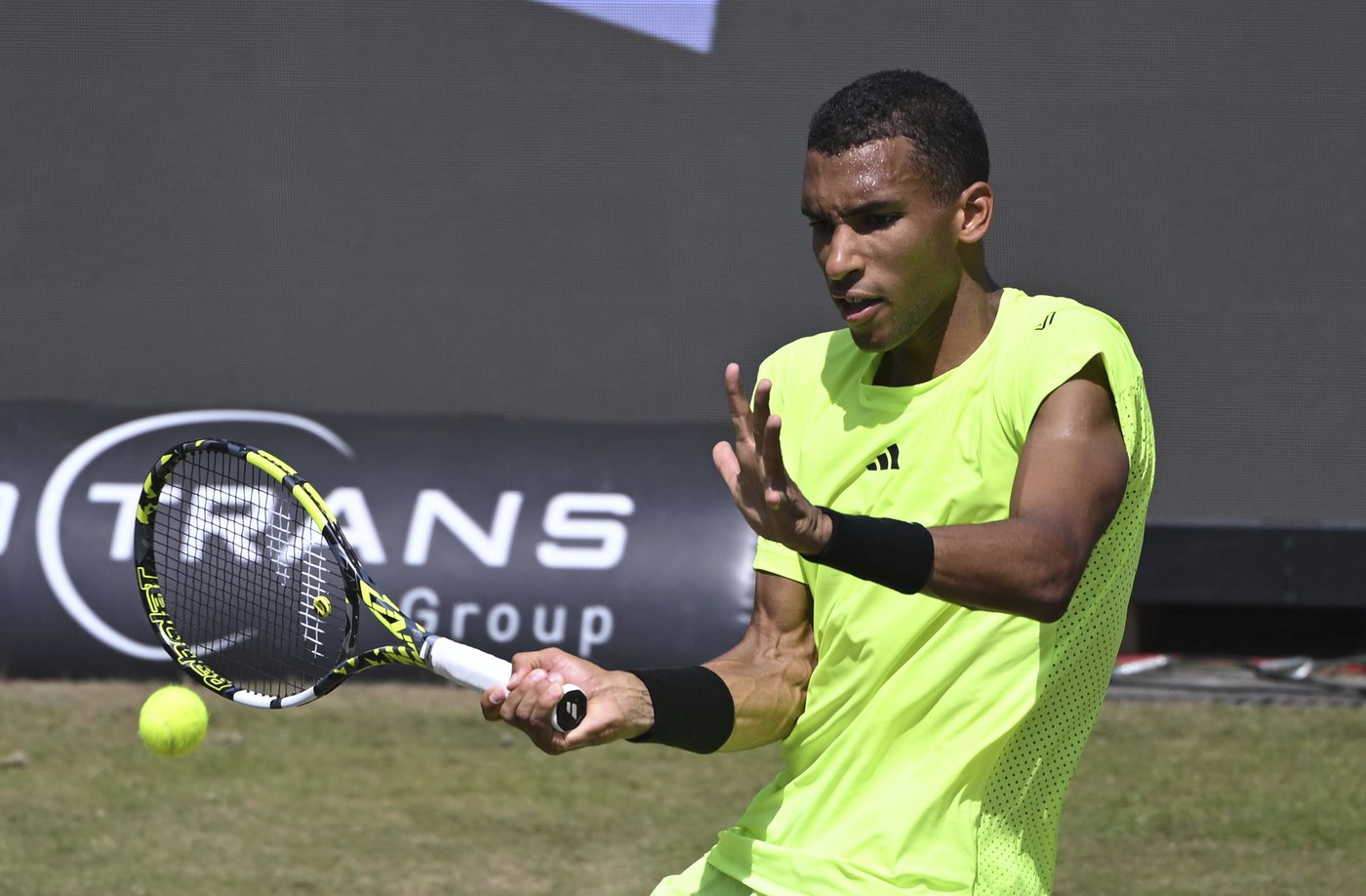 Auger-Aliassime falls to Griekspoor in semifinal at Mallorca Championships | iNFOnews.ca