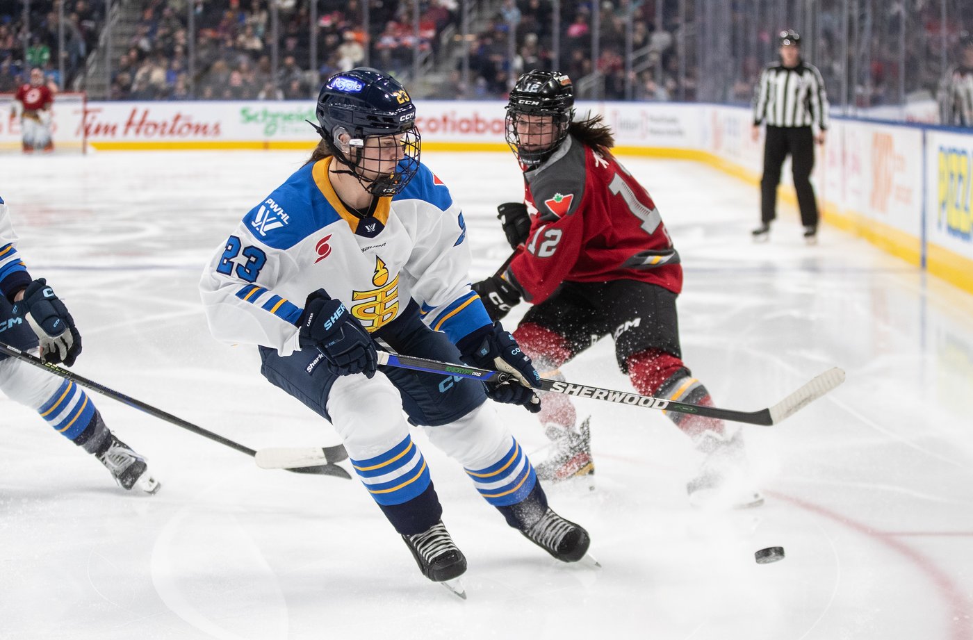 Sceptres' Carter learned plenty while rehabbing in becoming steady blueline presence | iNFOnews.ca