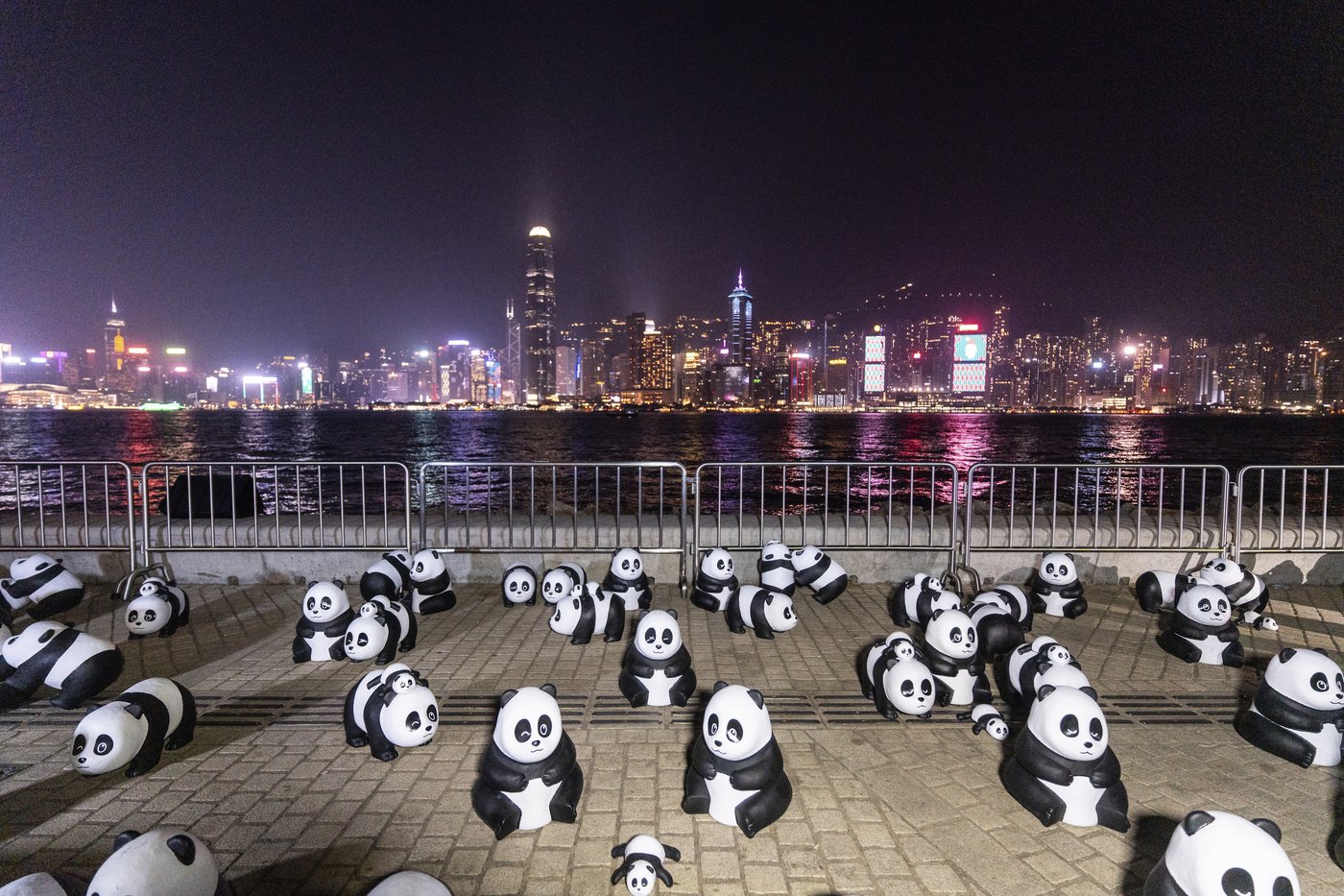 Hundreds gathered in Hong Kong for the city's first pyrotechnics drone show | iNFOnews.ca