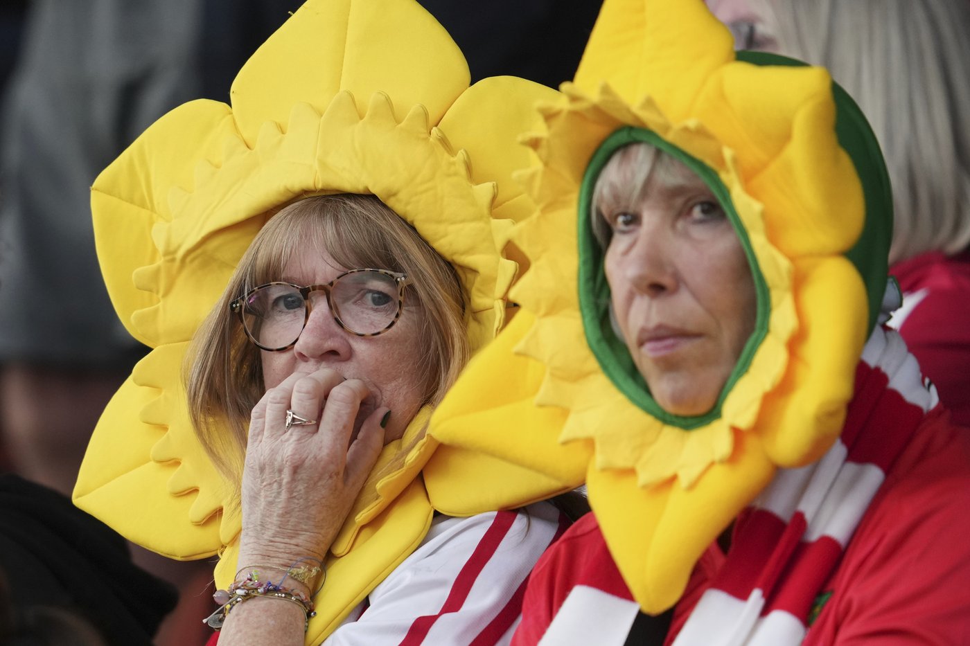 How Wrexham surged from obscurity to within sight of the Premier League | iNFOnews.ca How Wrexham surged from obscurity to within sight of the Premier League | iNFOnews.ca