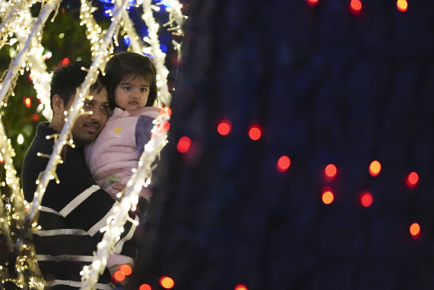 Elaborate holiday light displays are making spirits bright in a big way | iNFOnews.ca